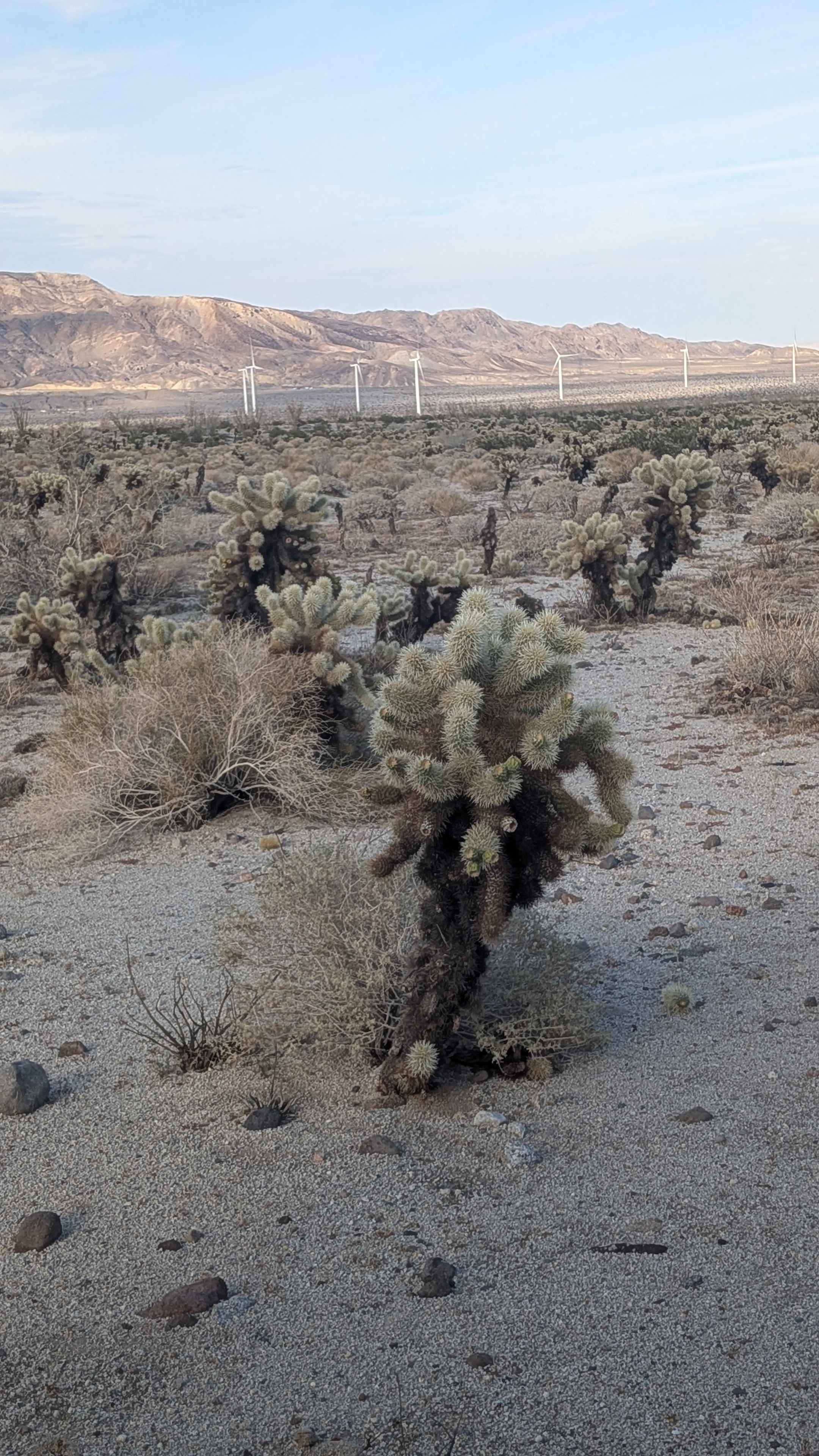 Dos Cabeza East - BLM 150