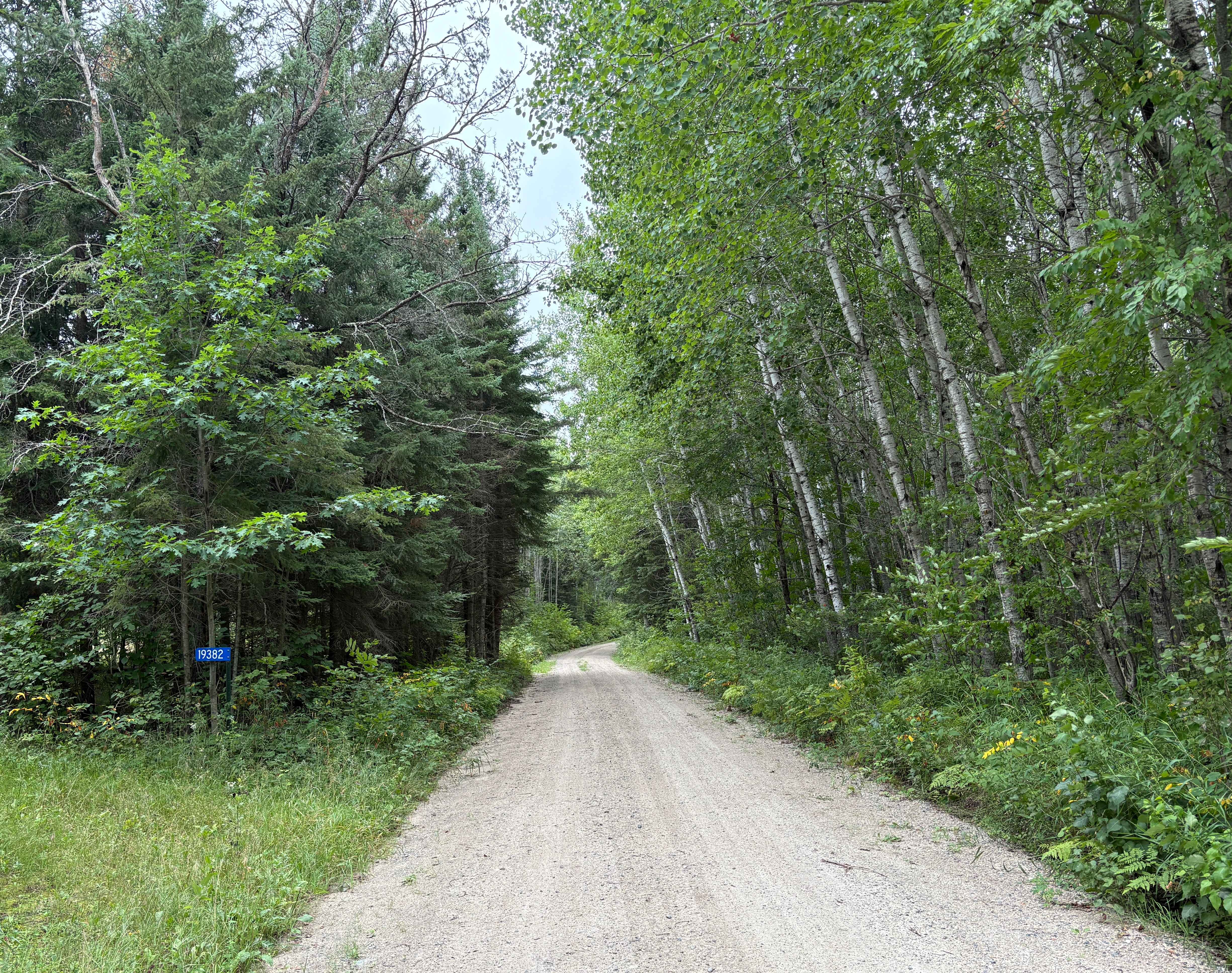 Waptus-Mckenzie Lake Road