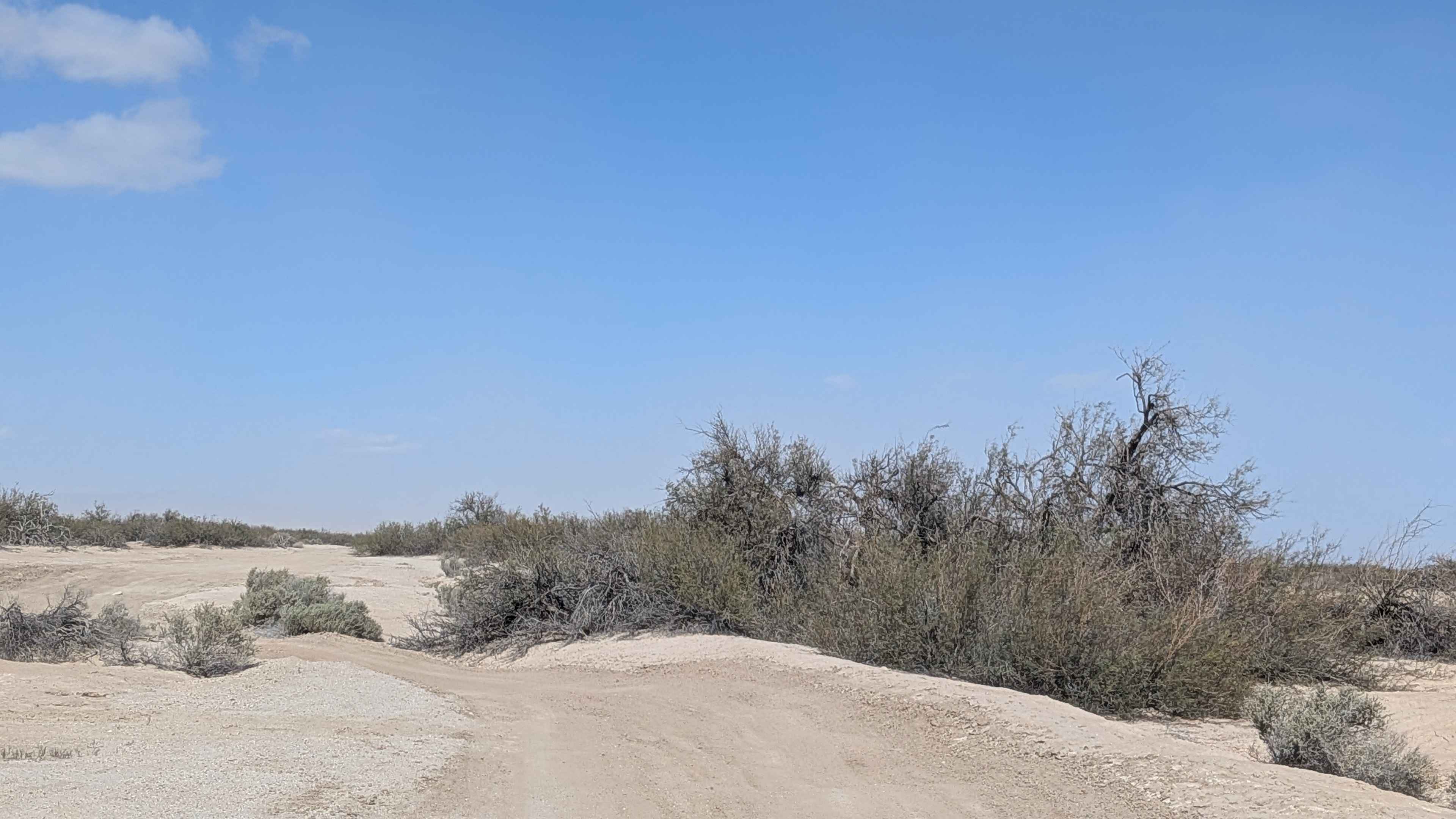 Old Kane Springs Road East - BLM 084