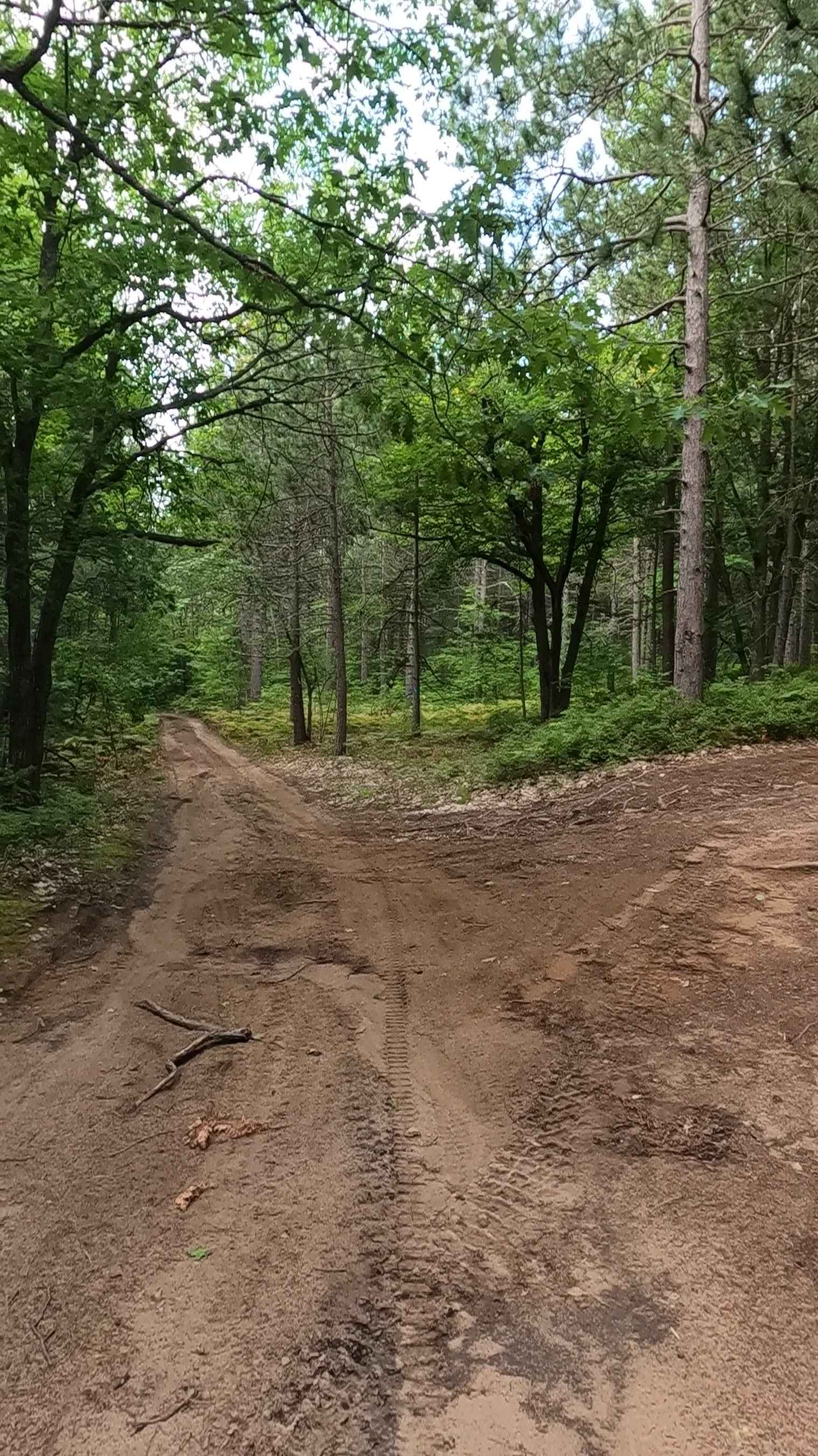 Long Branch - FS 3472