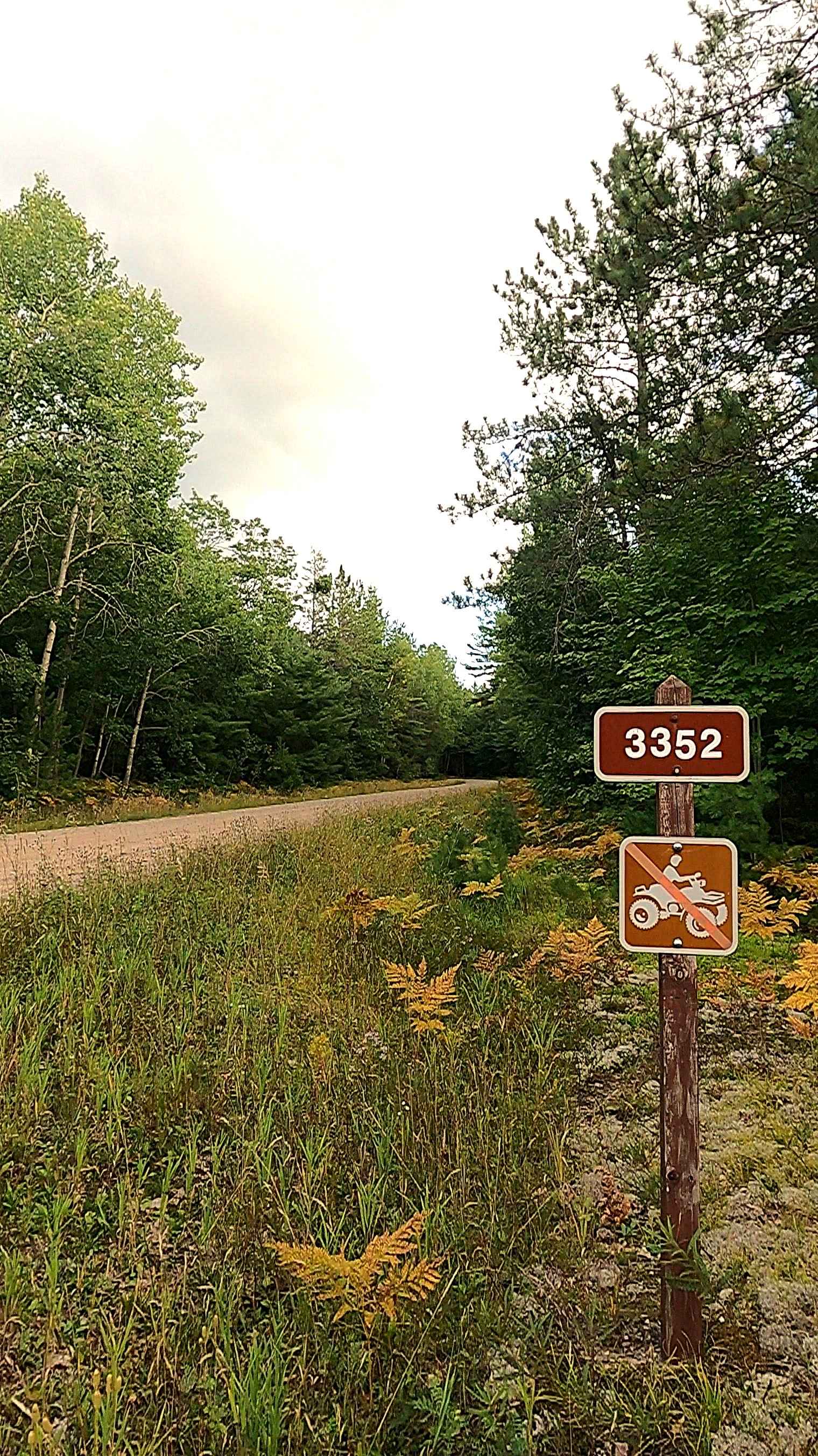 Waishkey River Truck Trail/Road - FS 3352