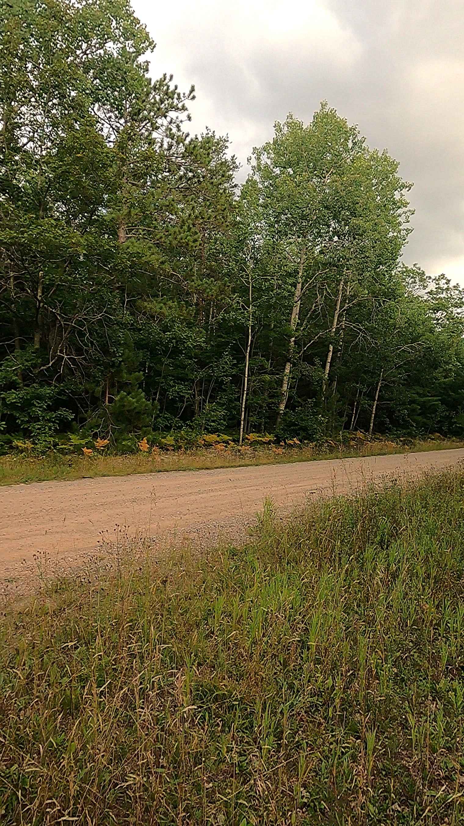 Waishkey River Truck Trail/Road - FS 3352