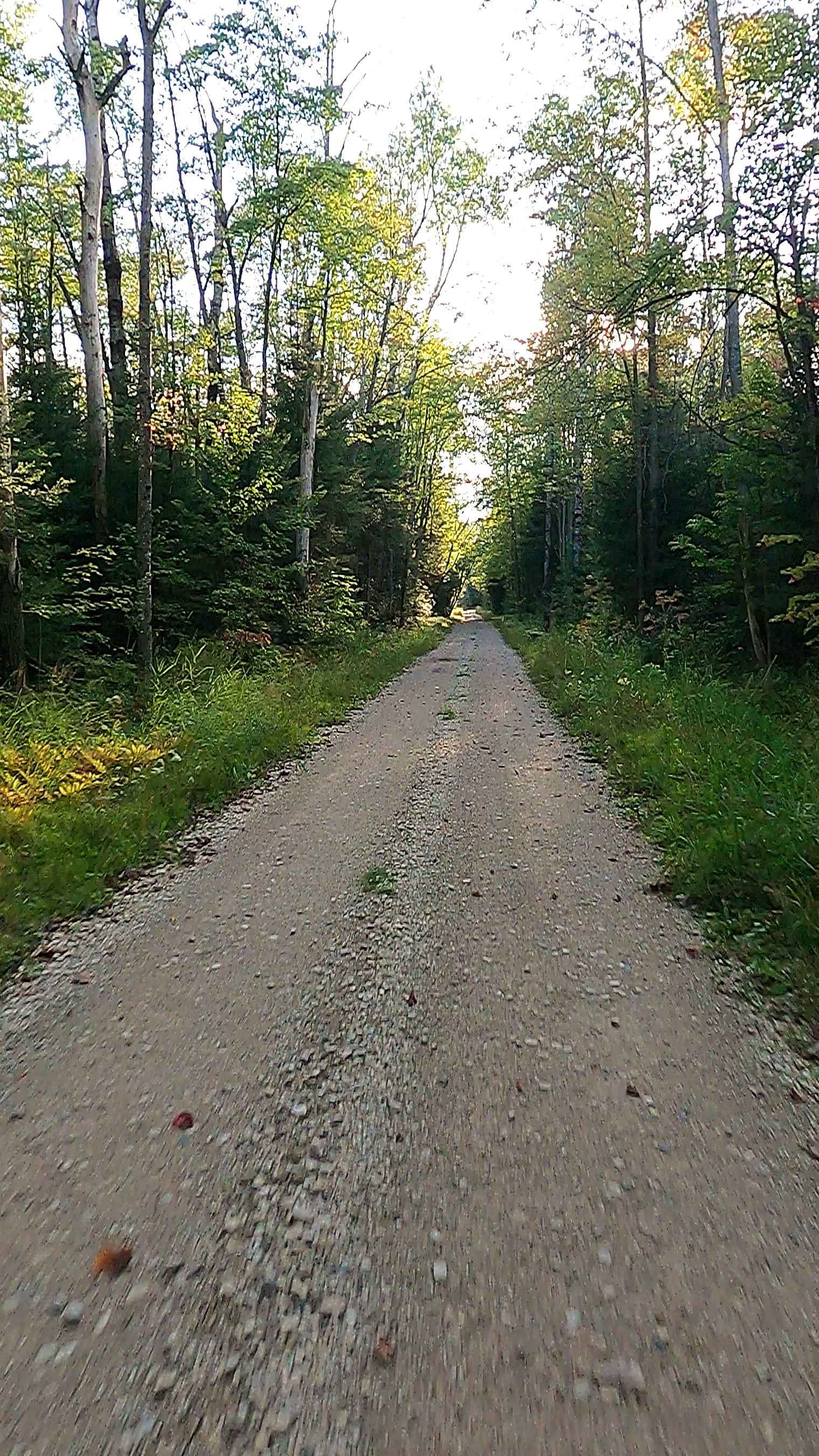 Pine River Truck Trail - FS 3137