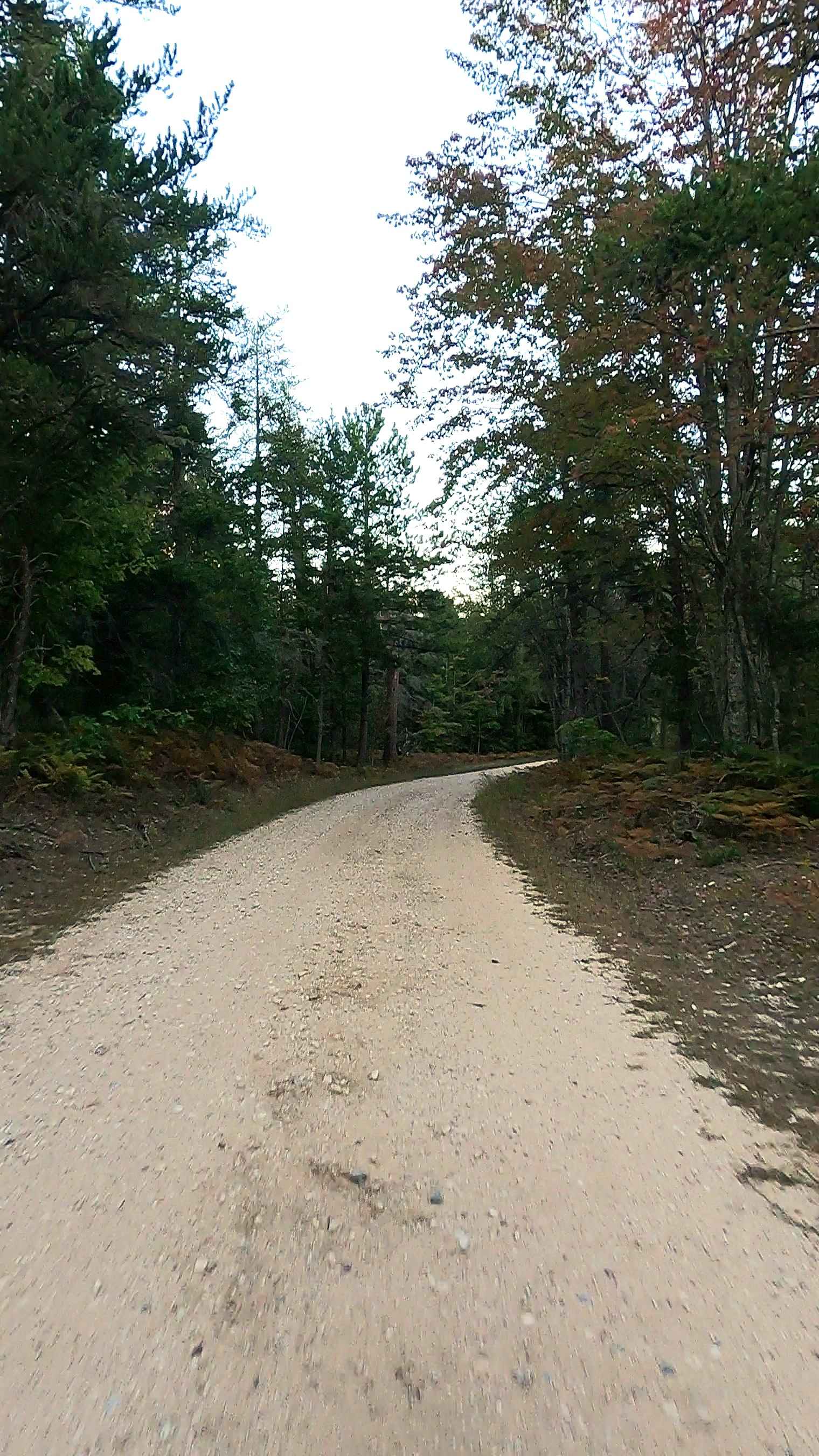 Camp Faunce - FS 3136