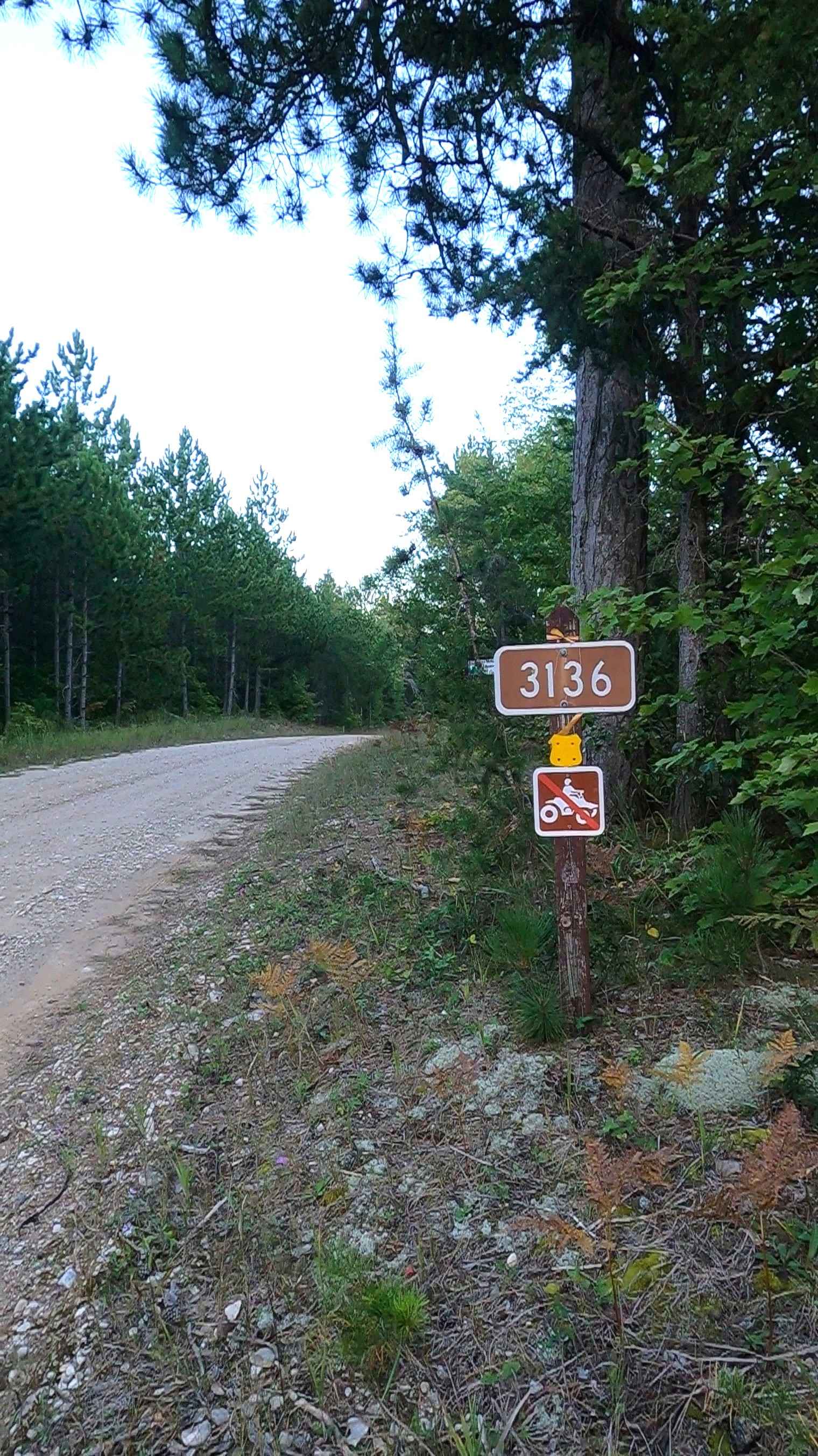 Camp Faunce - FS 3136