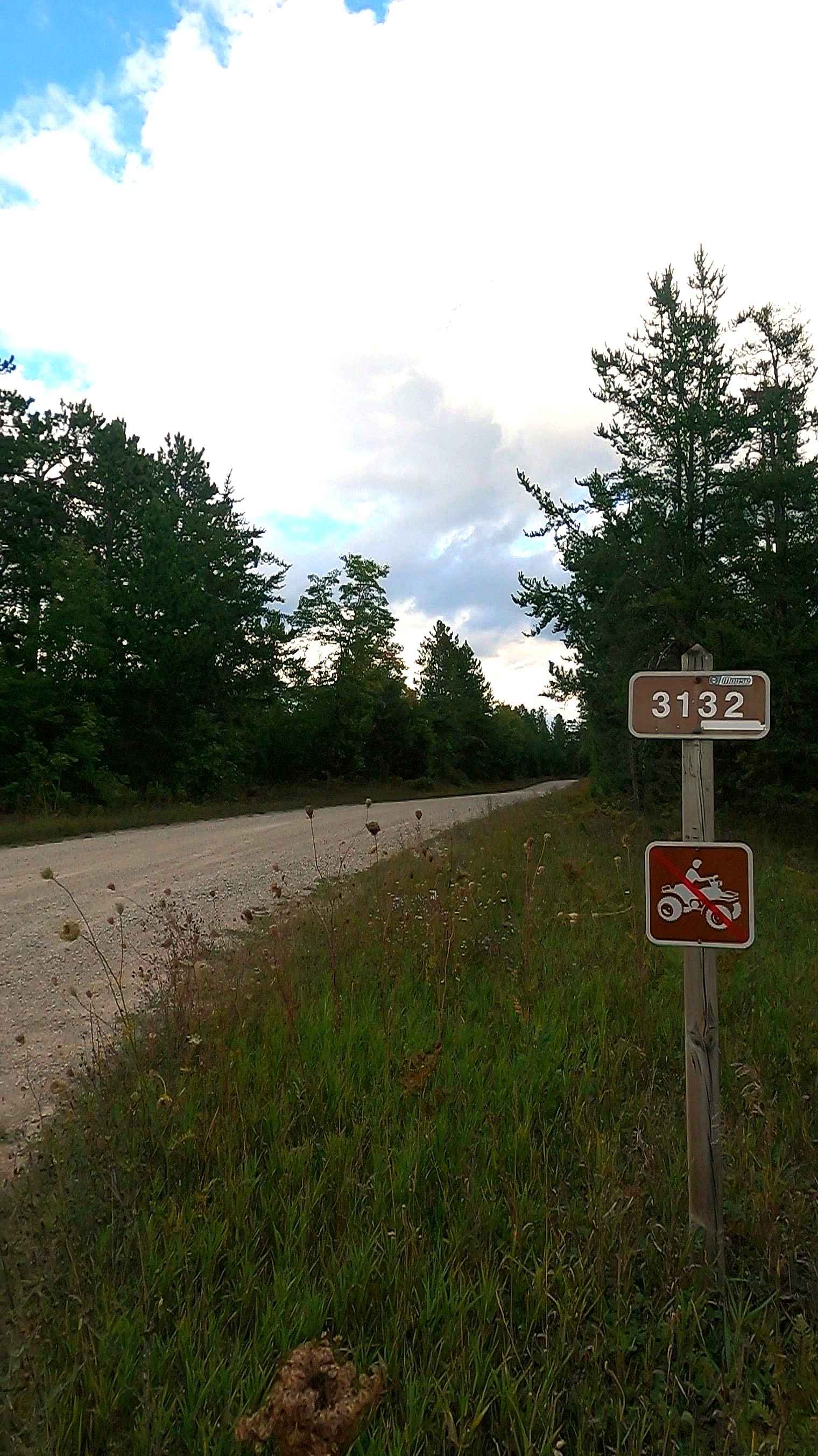 Sweiger Creek Truck Trail - FS 3132