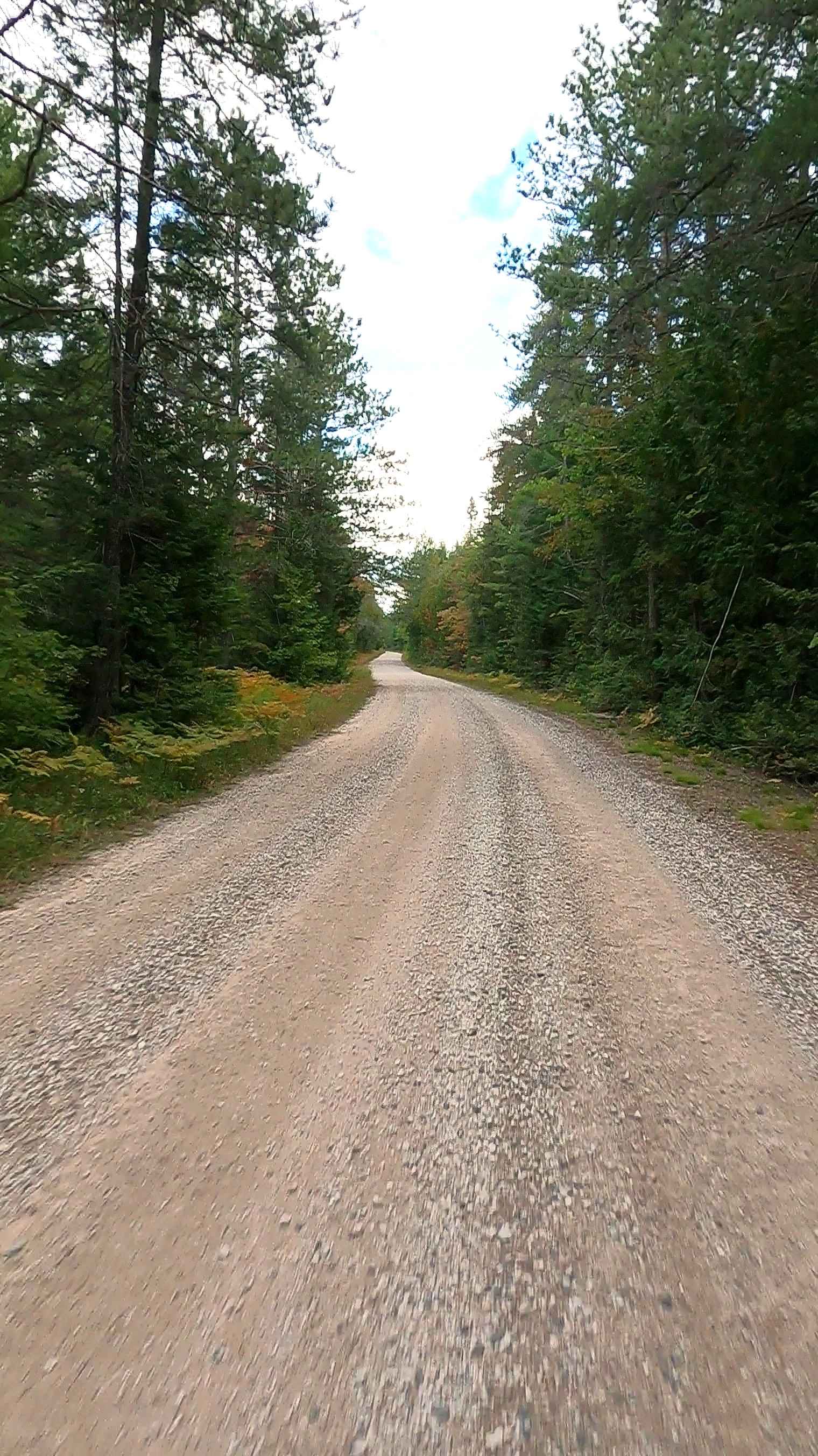 Sweiger Creek Truck Trail - FS 3132