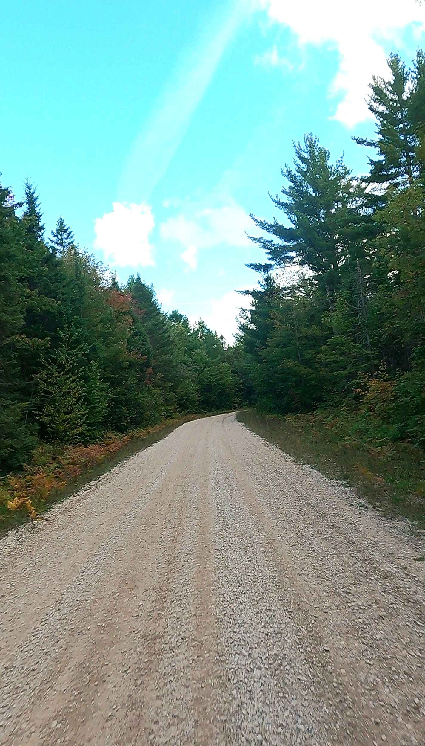 West Wilwin Road/ West Camp 2 Truck Trail - FS 3145