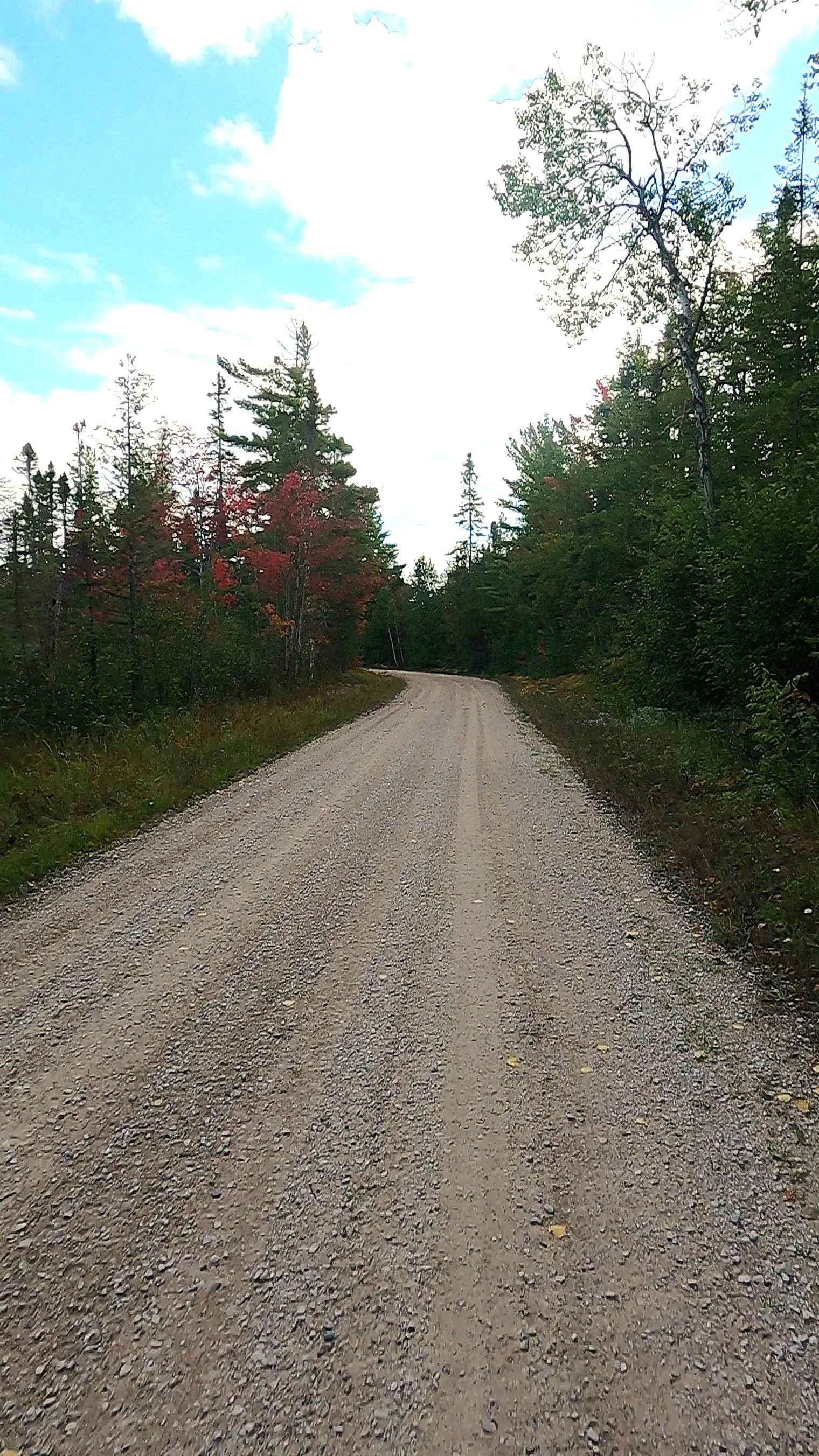 West Wilwin Road/ West Camp 2 Truck Trail - FS 3145