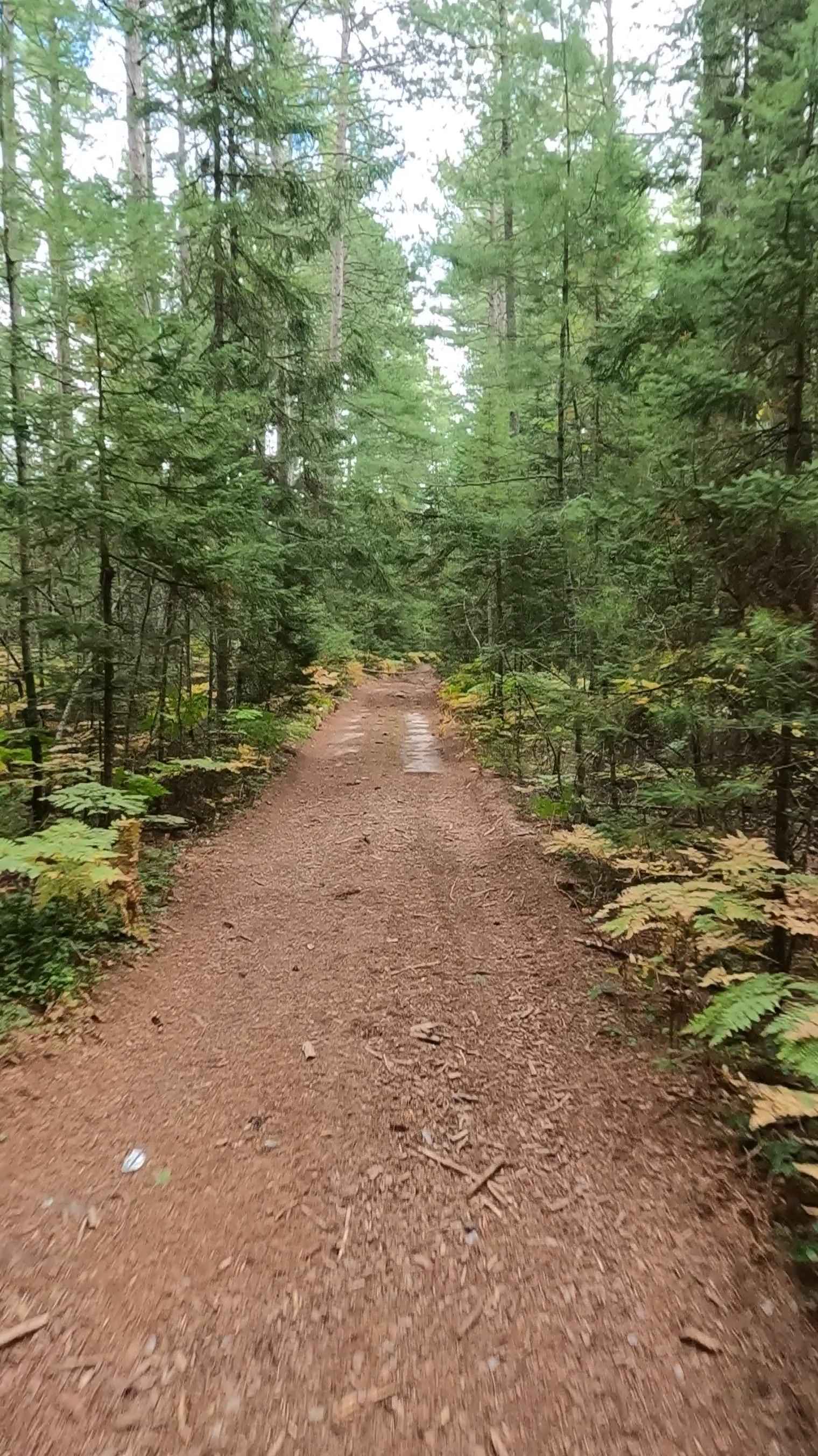 Hendrie Creek Truck Trail - FS 3199