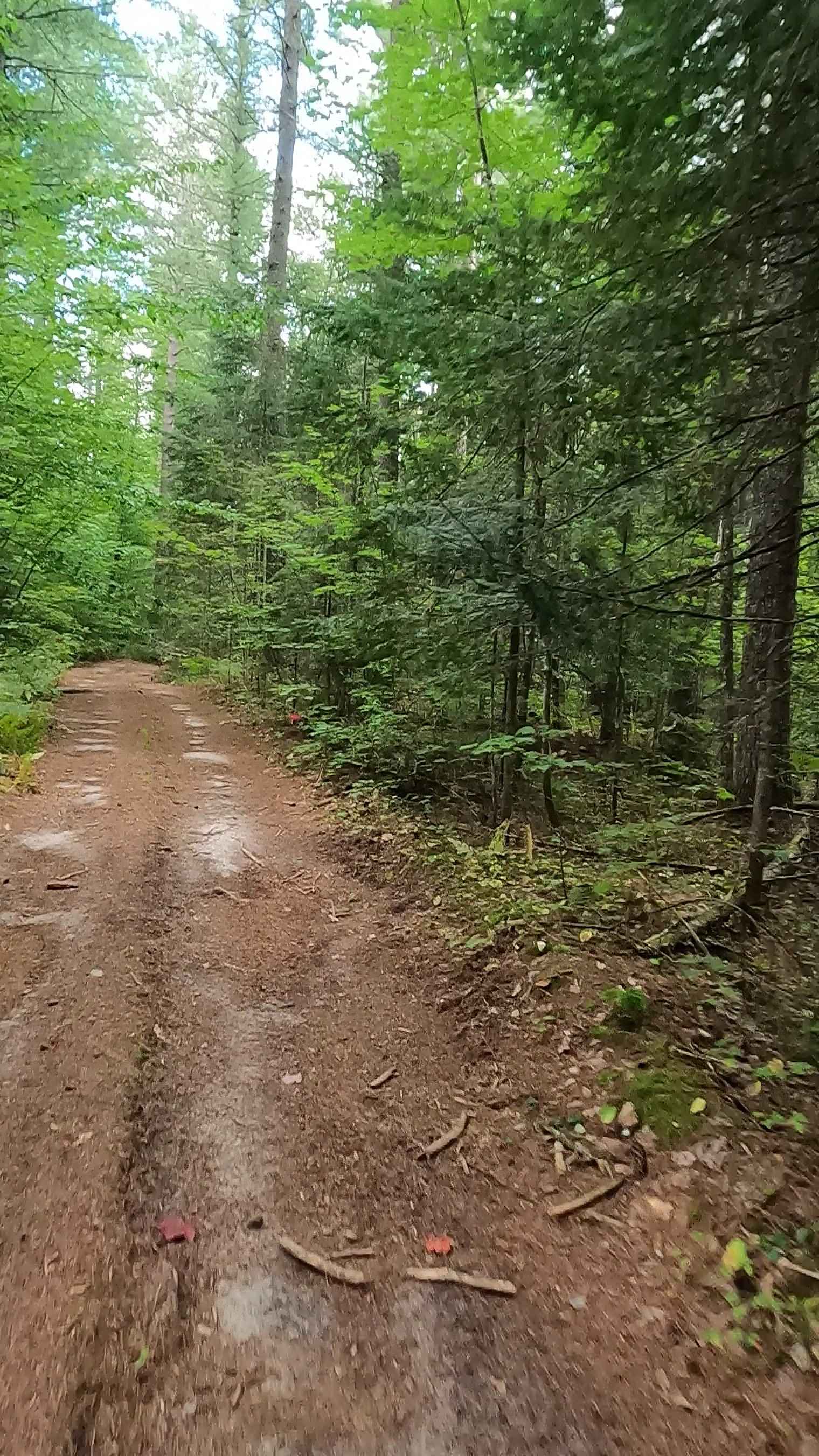 Hendrie Creek Truck Trail - FS 3199