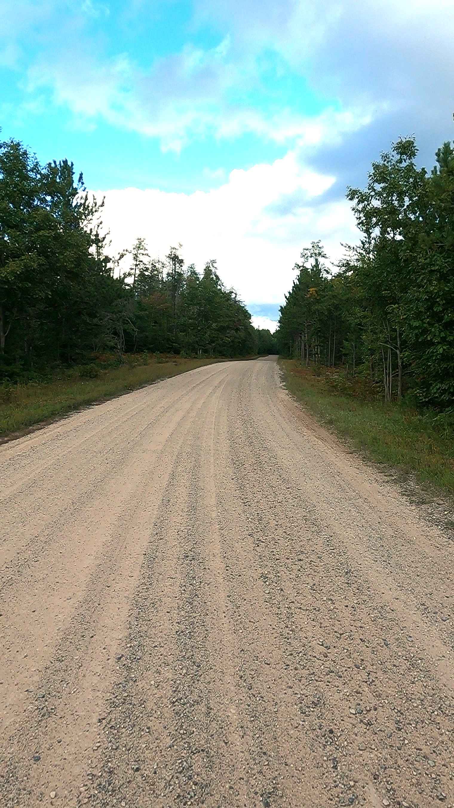 Sullivan Creek Trail - FS 3131