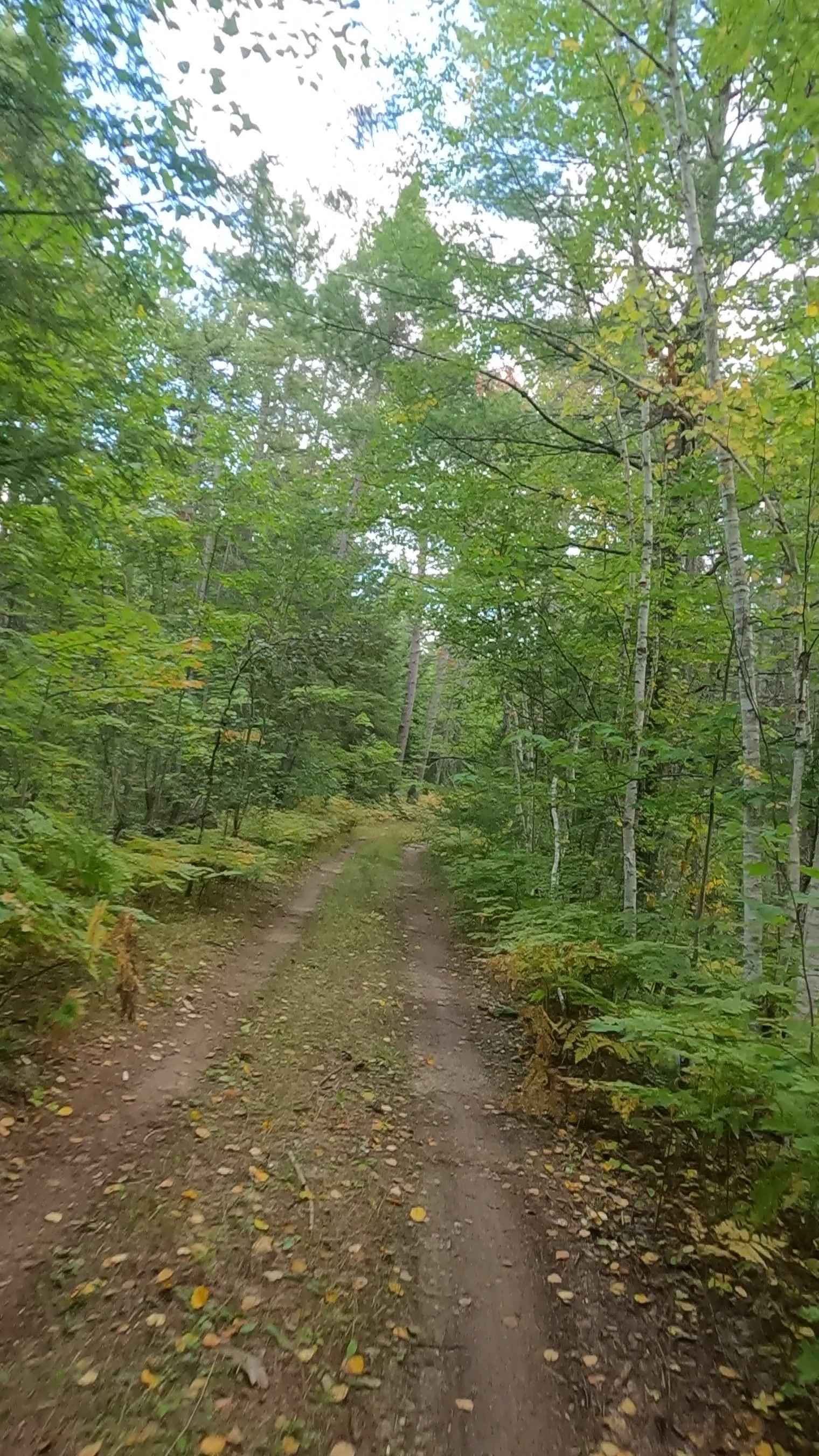 Naugle Creek - FS 3348