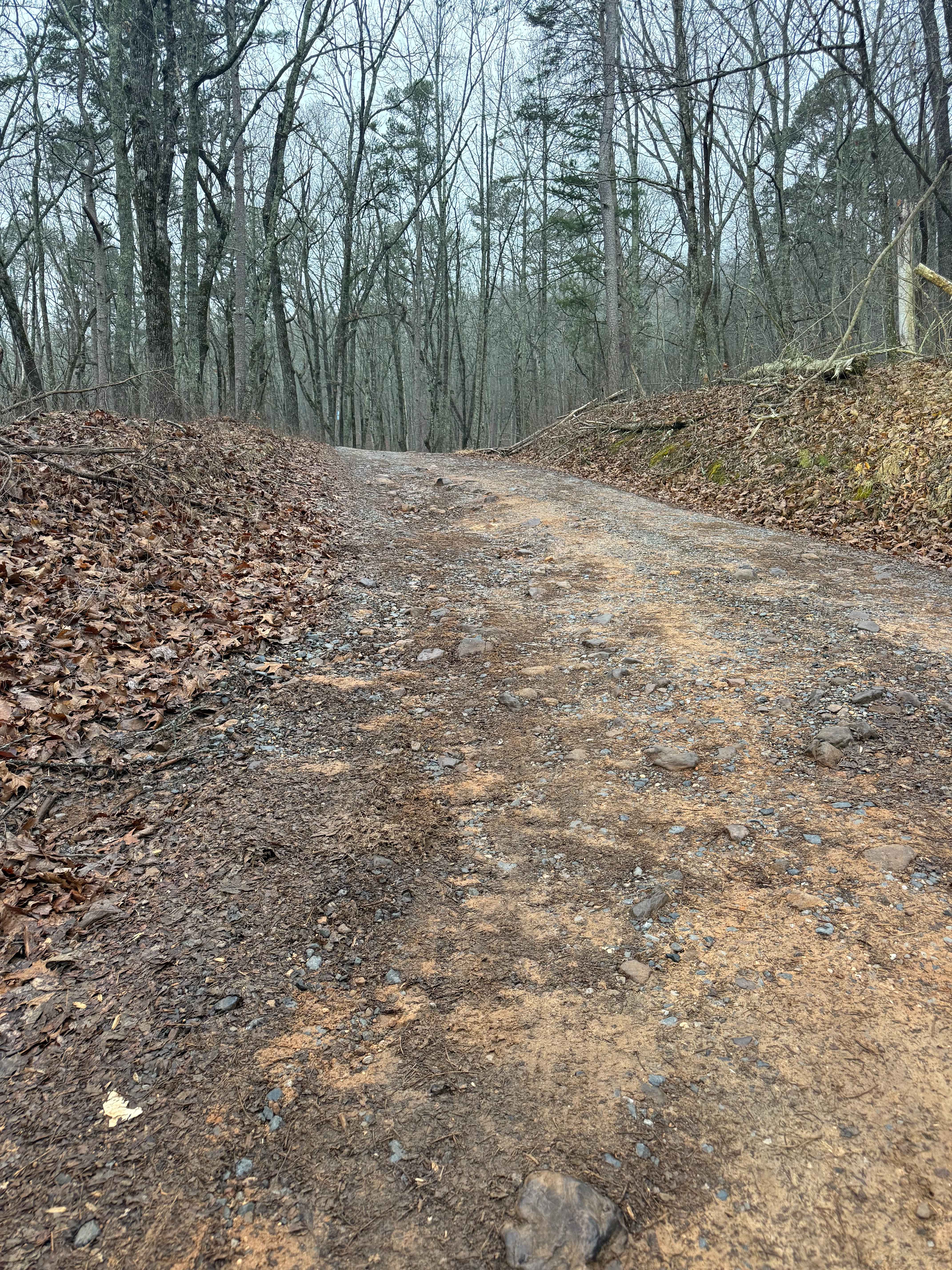 Johns Mountain Overlook - FS 208