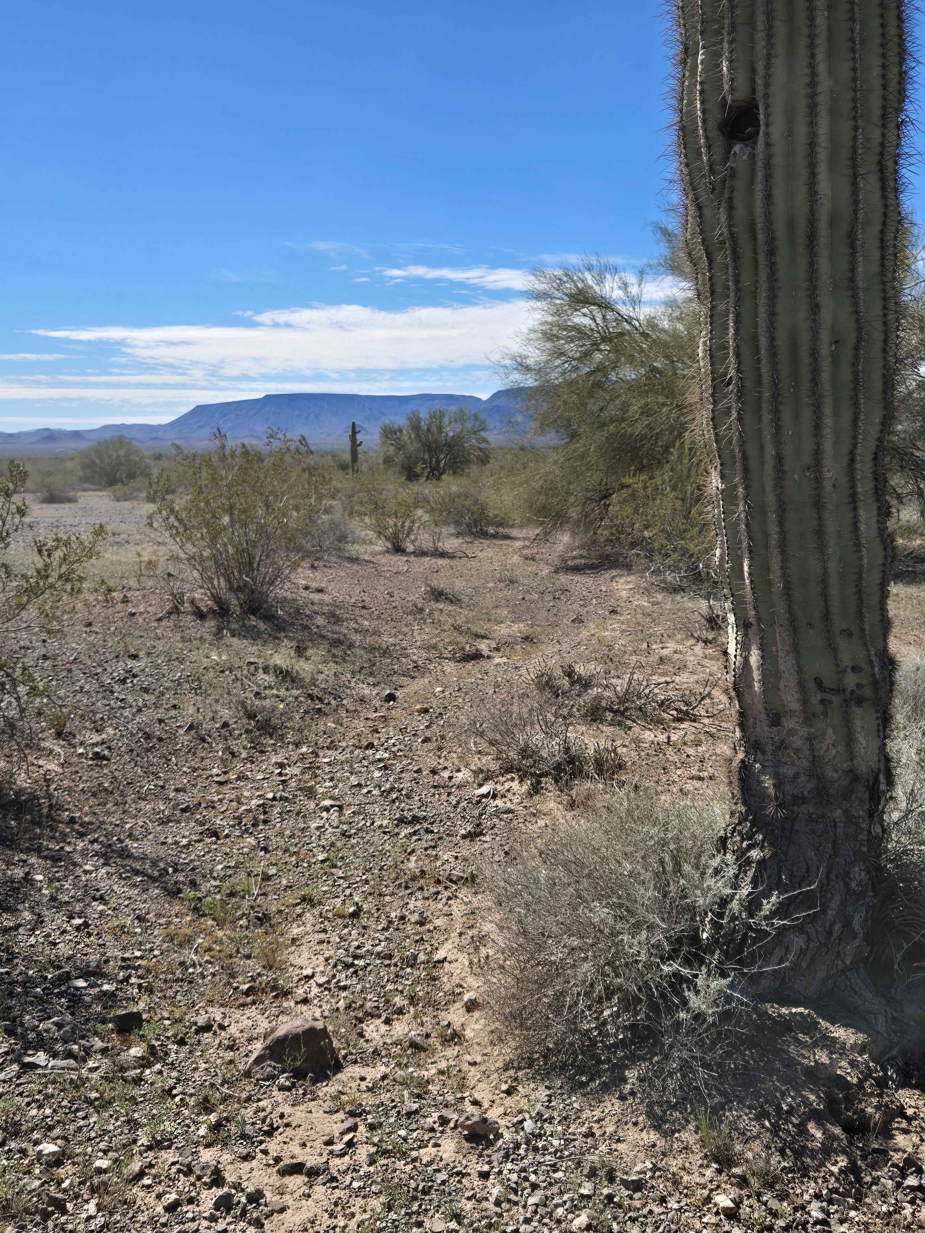 Head for Lunch Trail