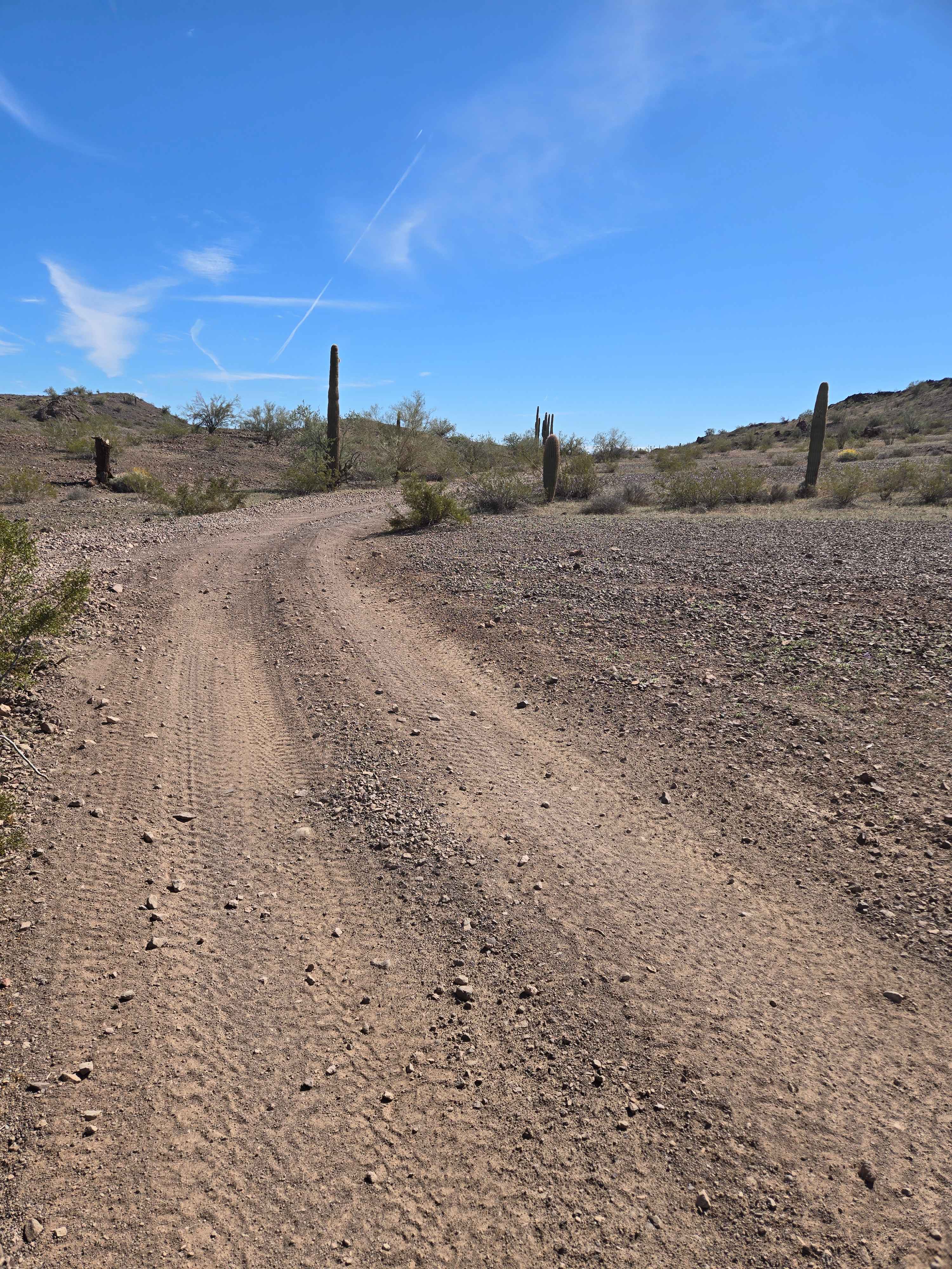 Head for Lunch Trail