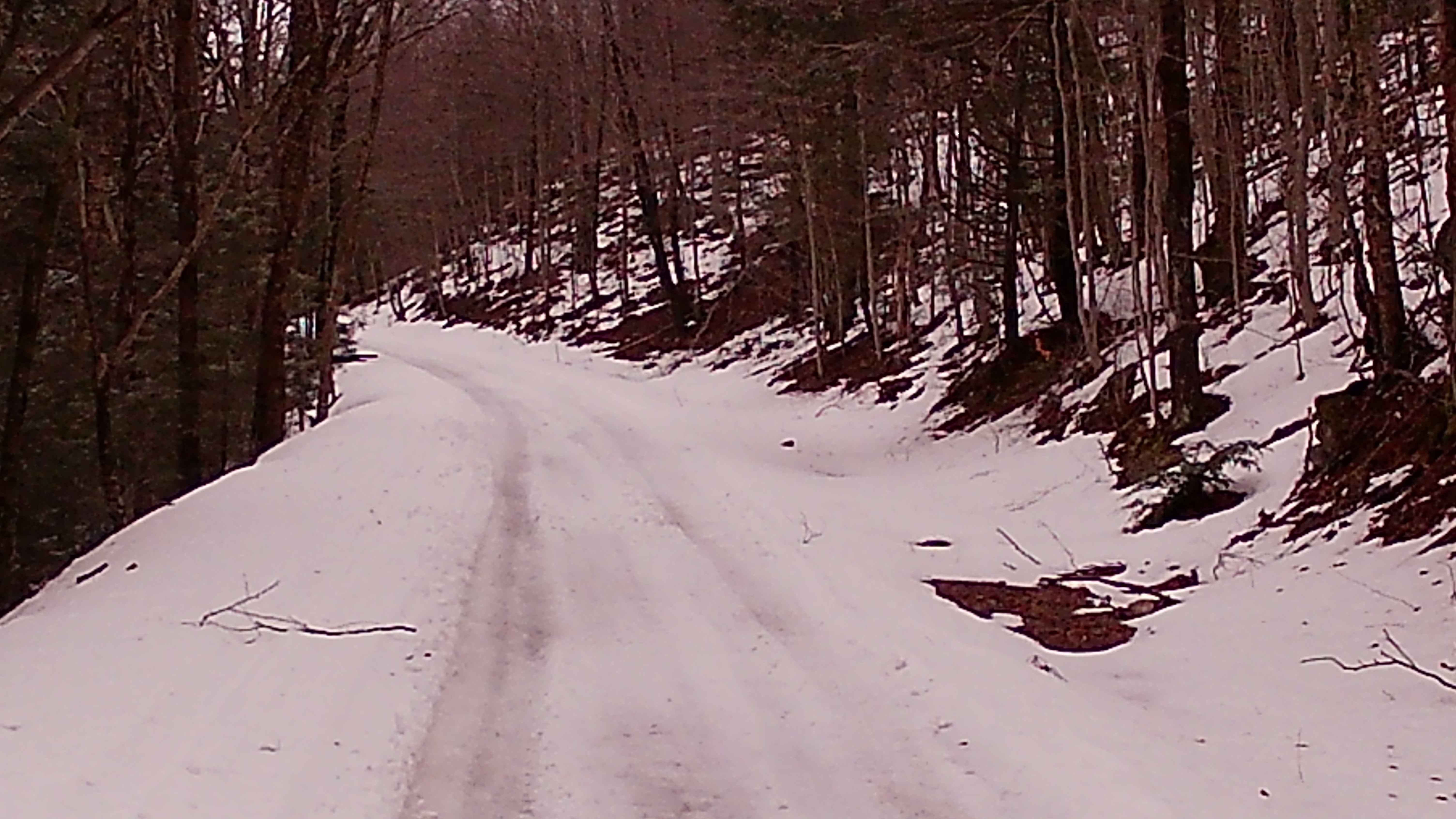 Mountain Spring Road