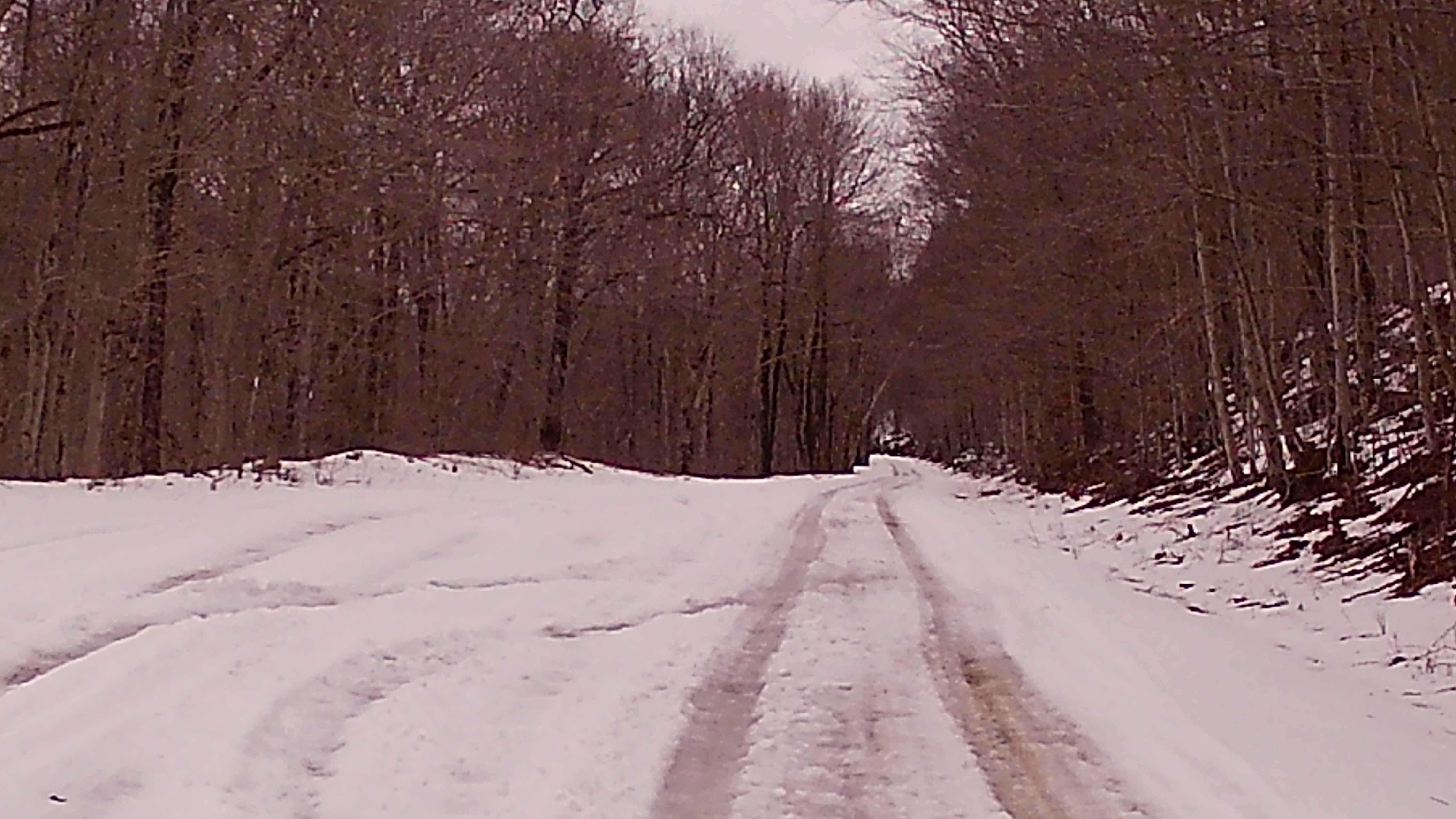 Mountain Spring Road