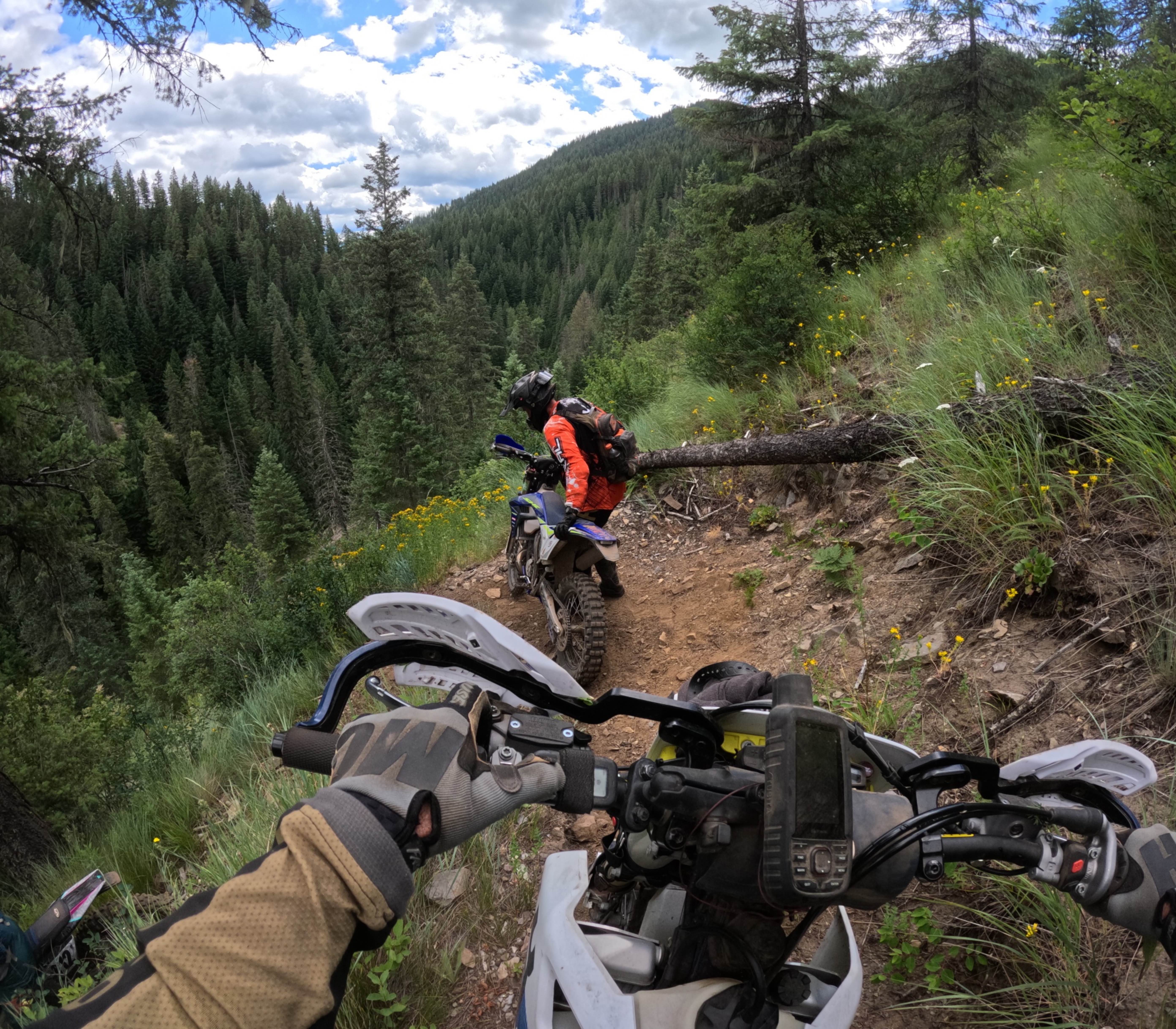 Bronson Meadows Loop