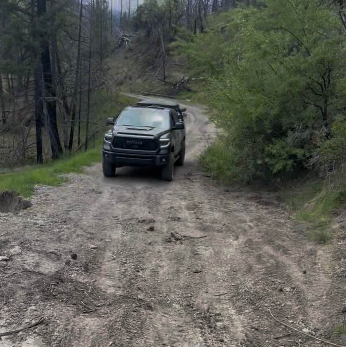 Pillsbury-Indian Dick Road