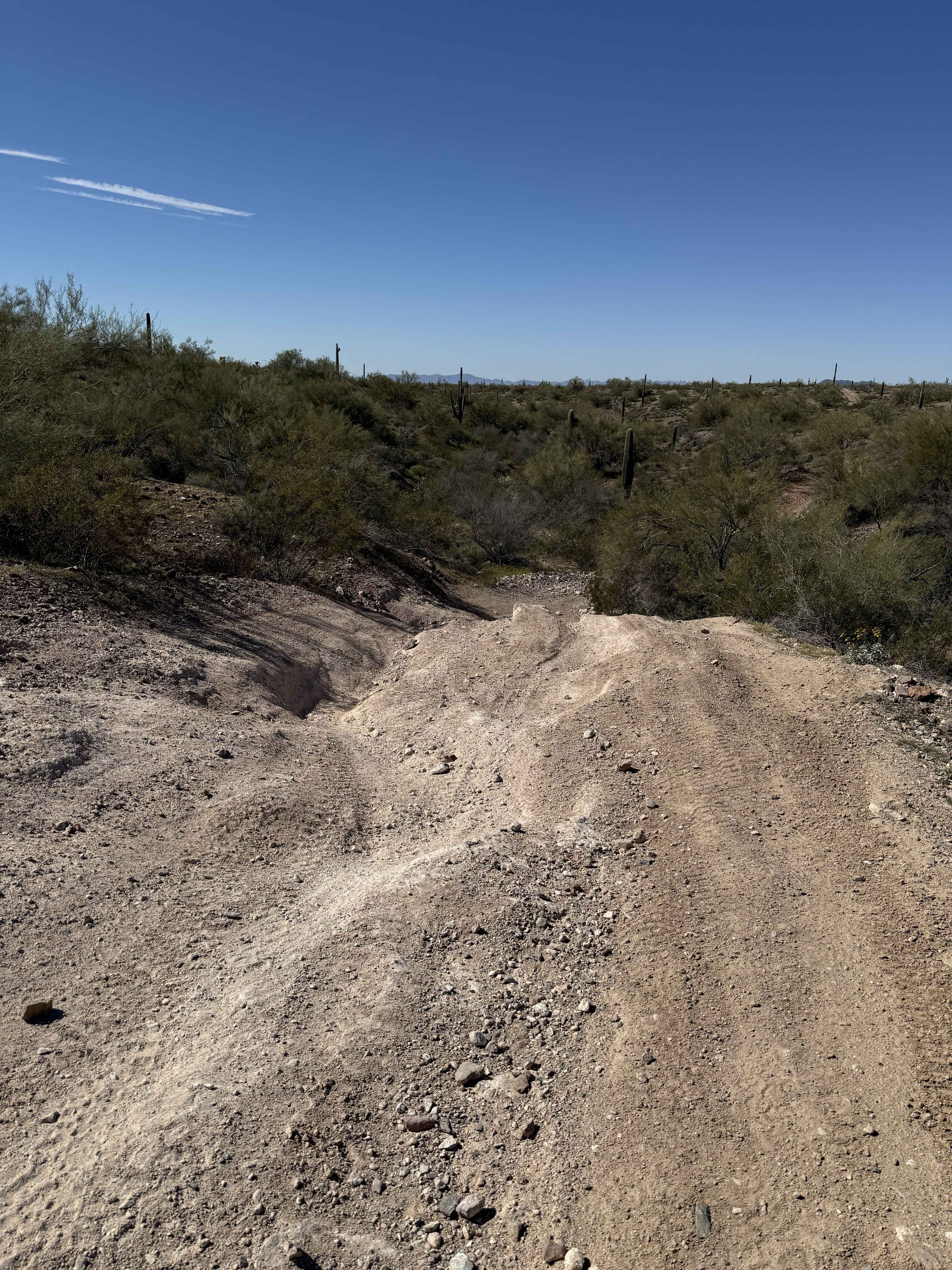 Journey to Trilby Wash