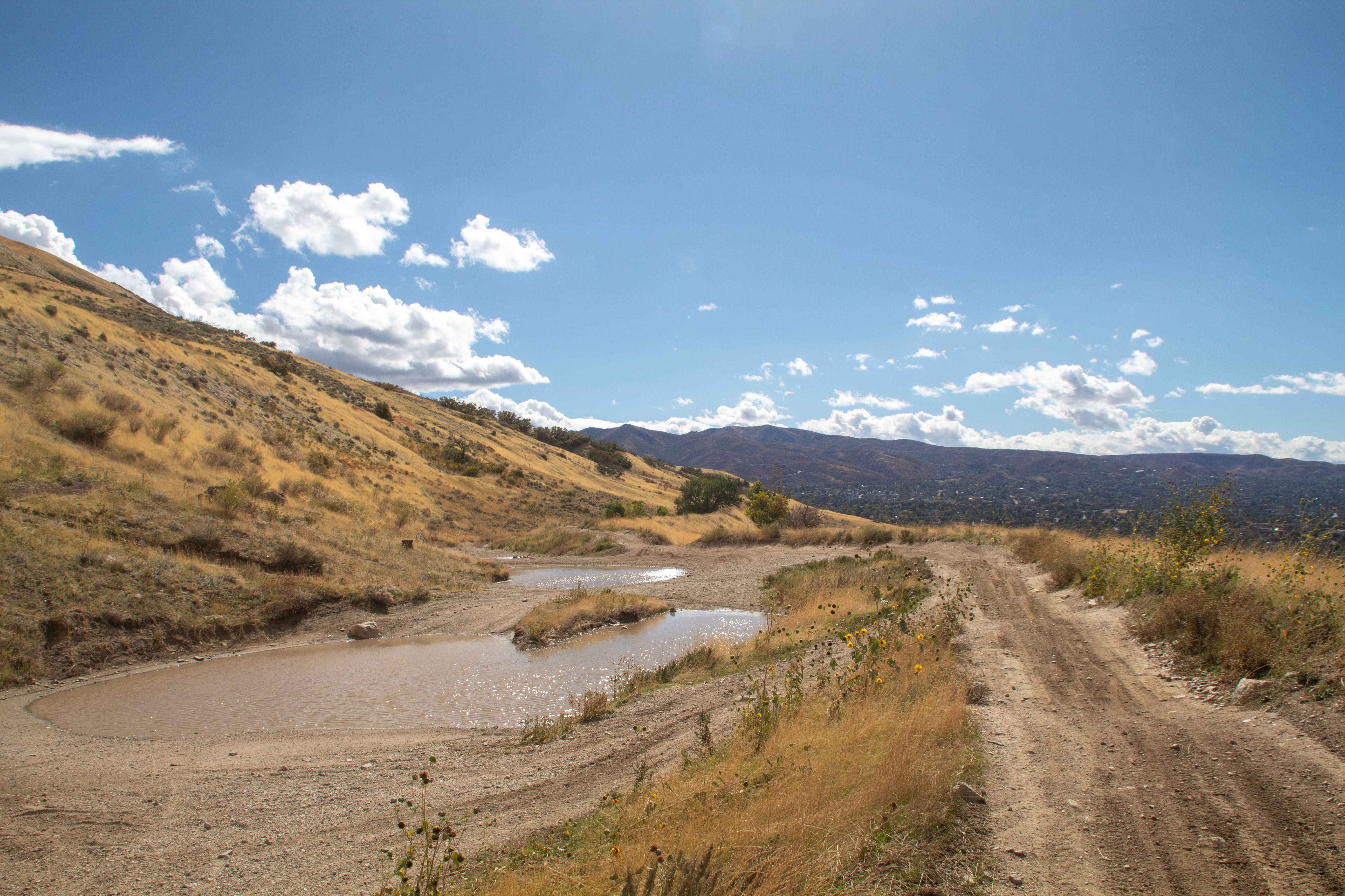 Centerville Offroad Bowl Upper Trail