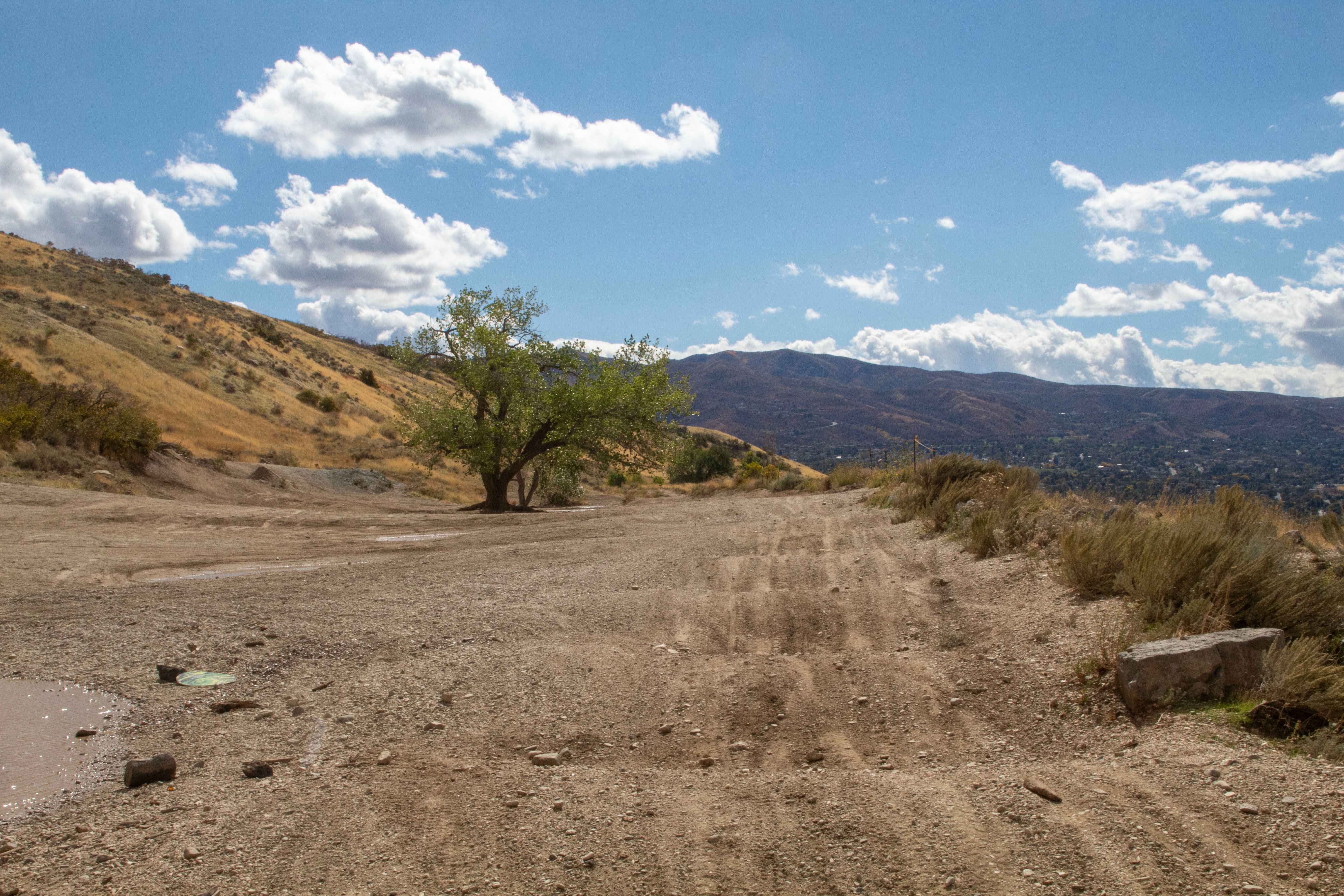 Centerville Offroad Bowl Upper Trail