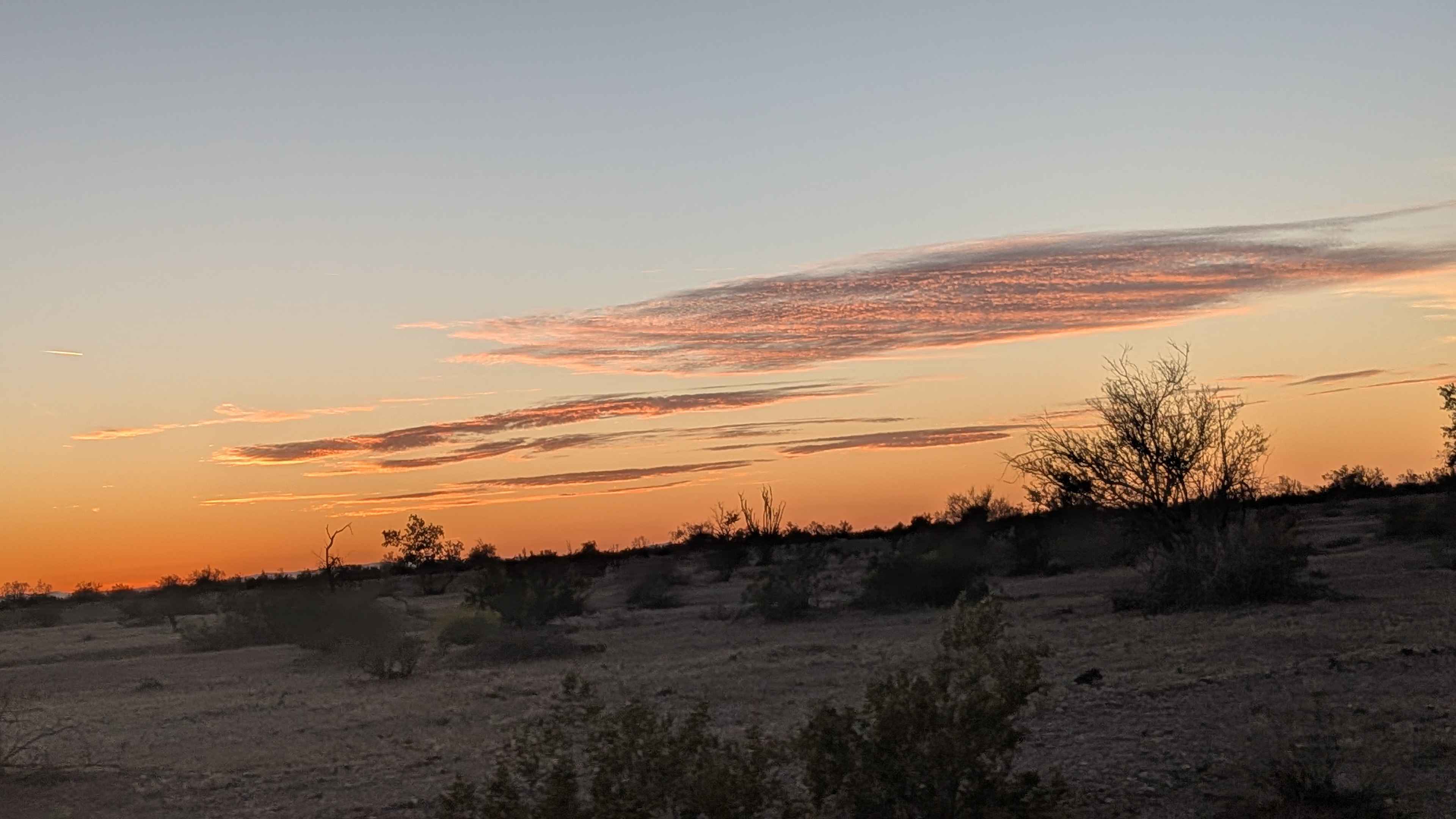 Walker Way - BLM 656