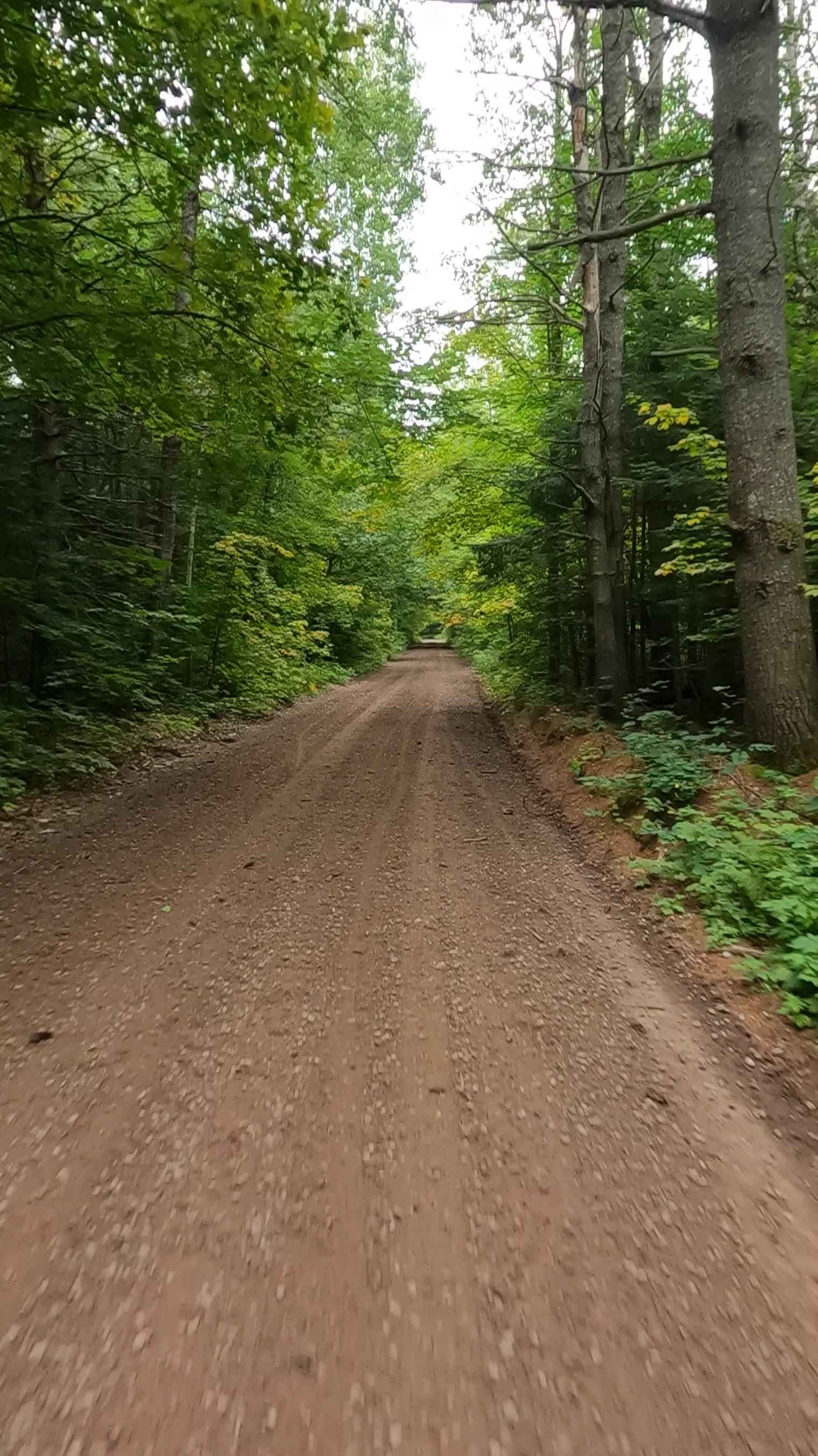 Rhody Creek Truck Trail/County Road 743 - FS 3080