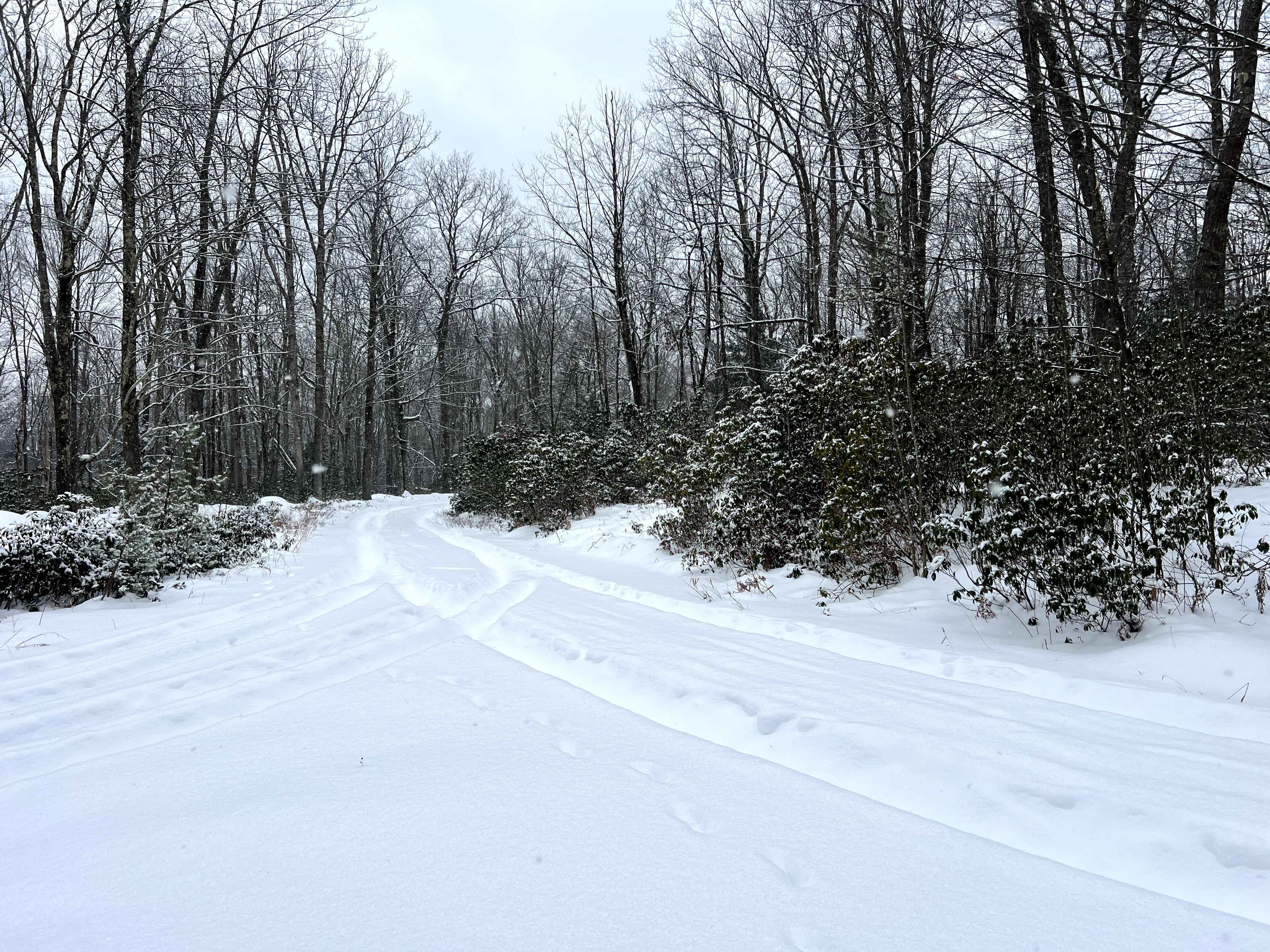 Mill Run Trail