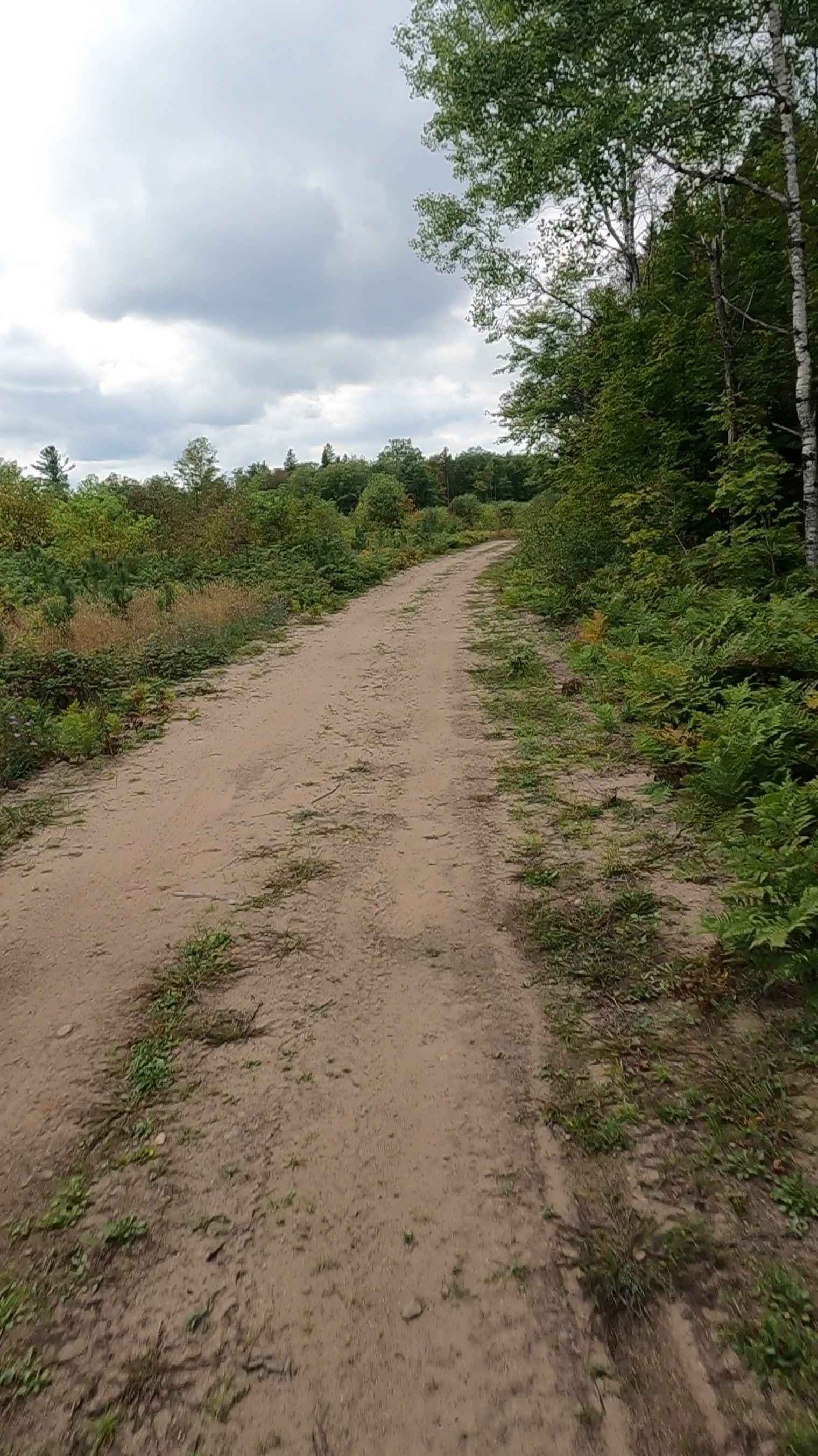 Haverstock Creek Road