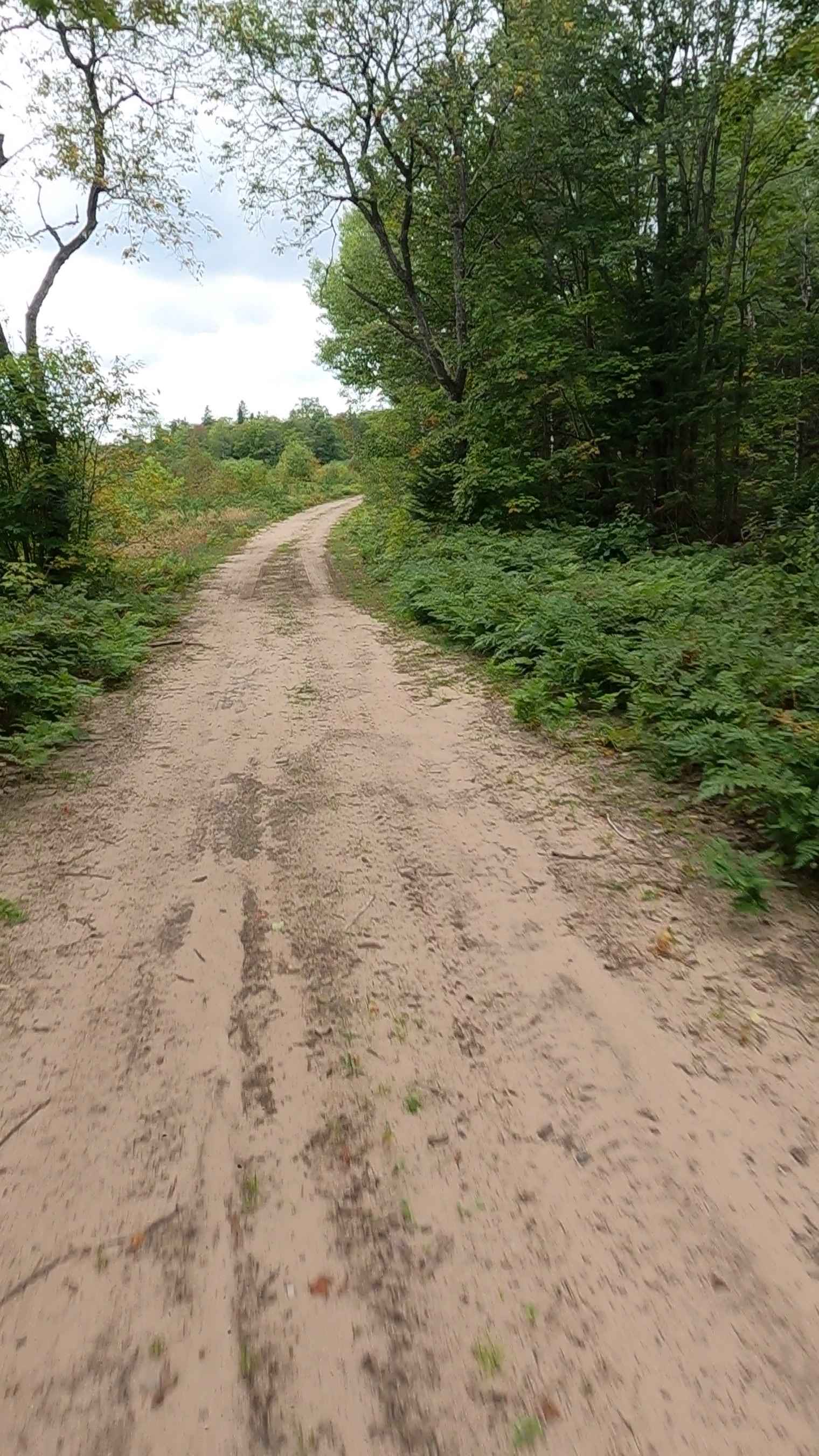 Haverstock Creek Road