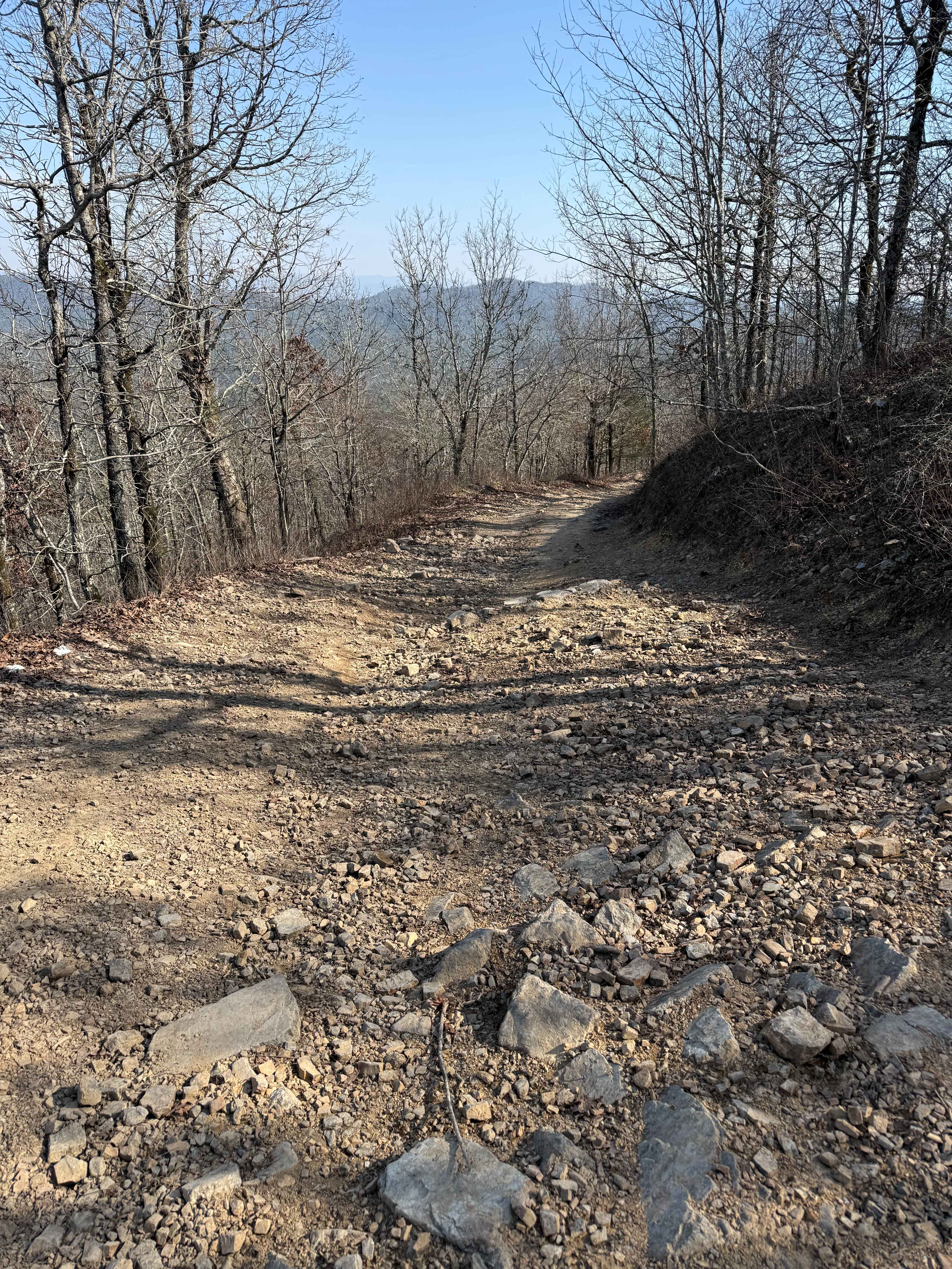 Bee Mountain Lookout Trail