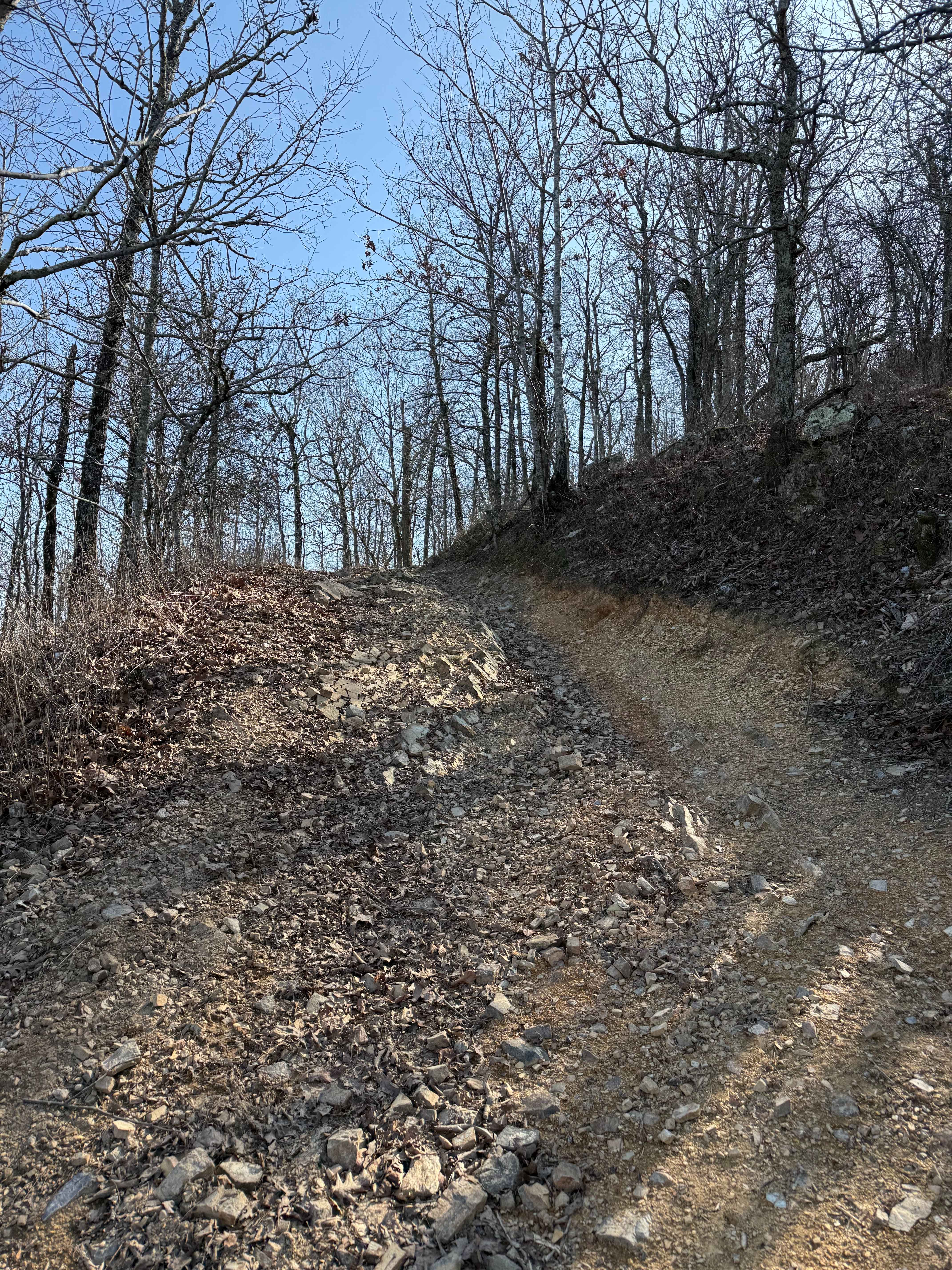 Bee Mountain Lookout Trail
