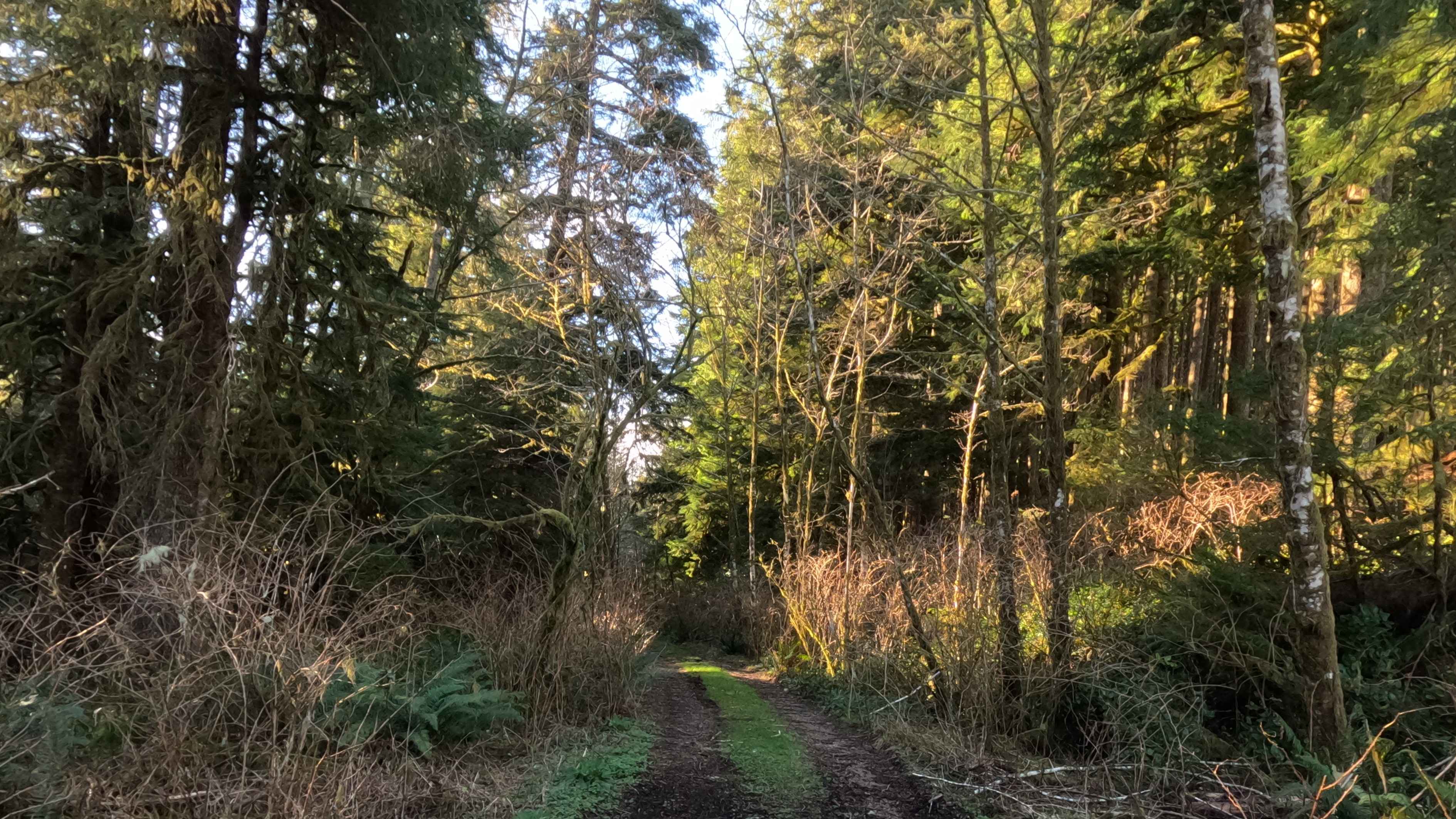 Miles Mountain