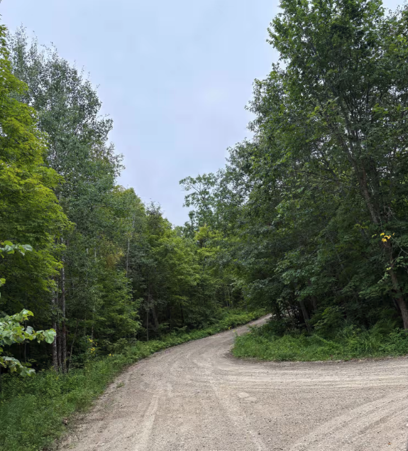 Waptus-Mckenzie Lake Road