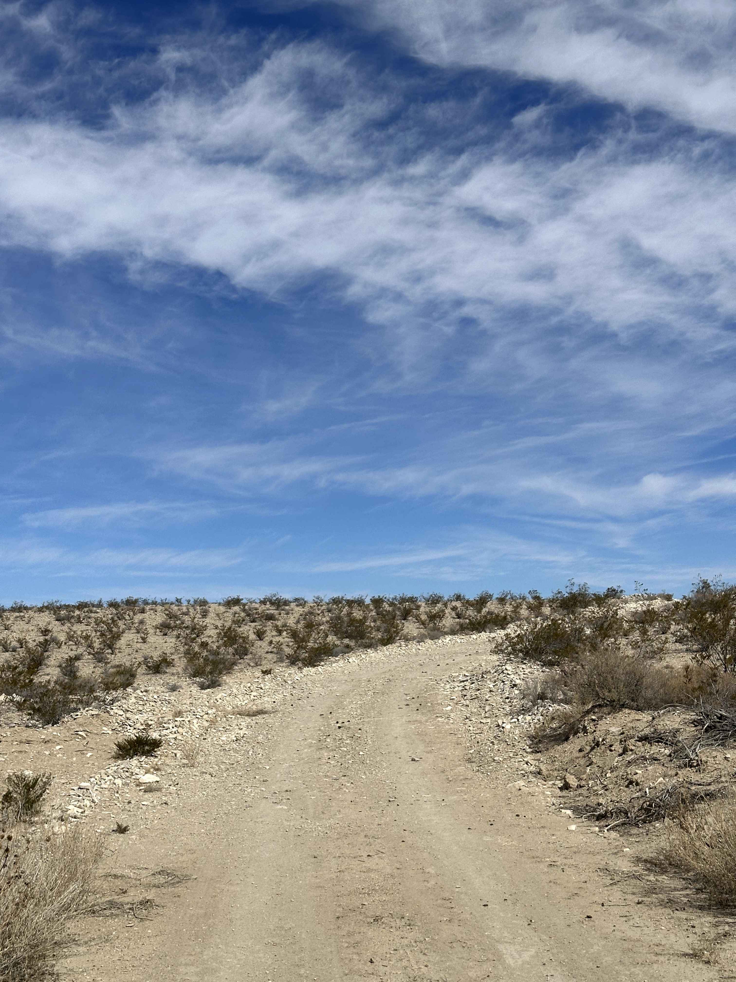 Red Bluff Mountain Loop