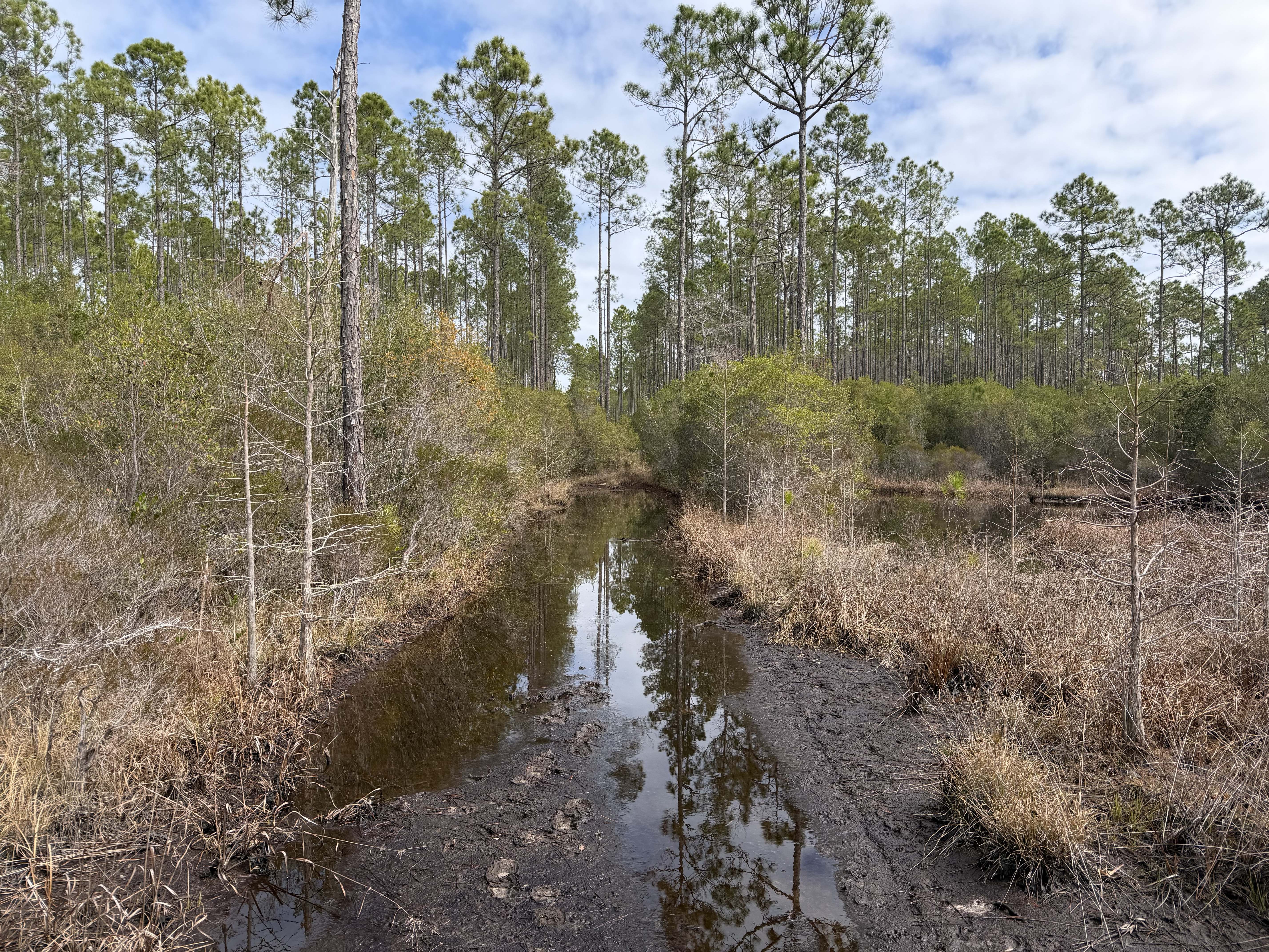 West Boundary Road Bypass