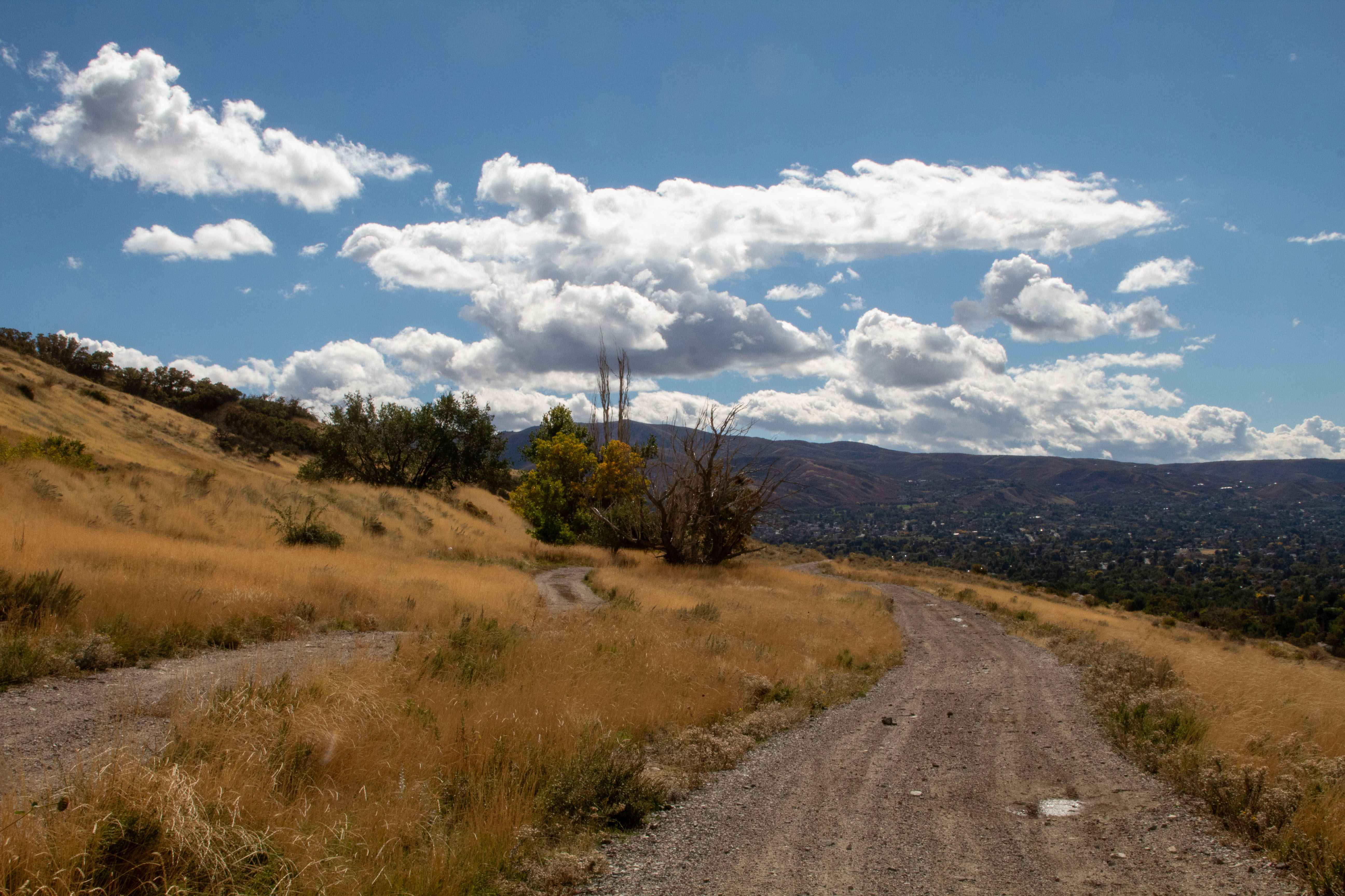 Centerville Offroad Bowl Return