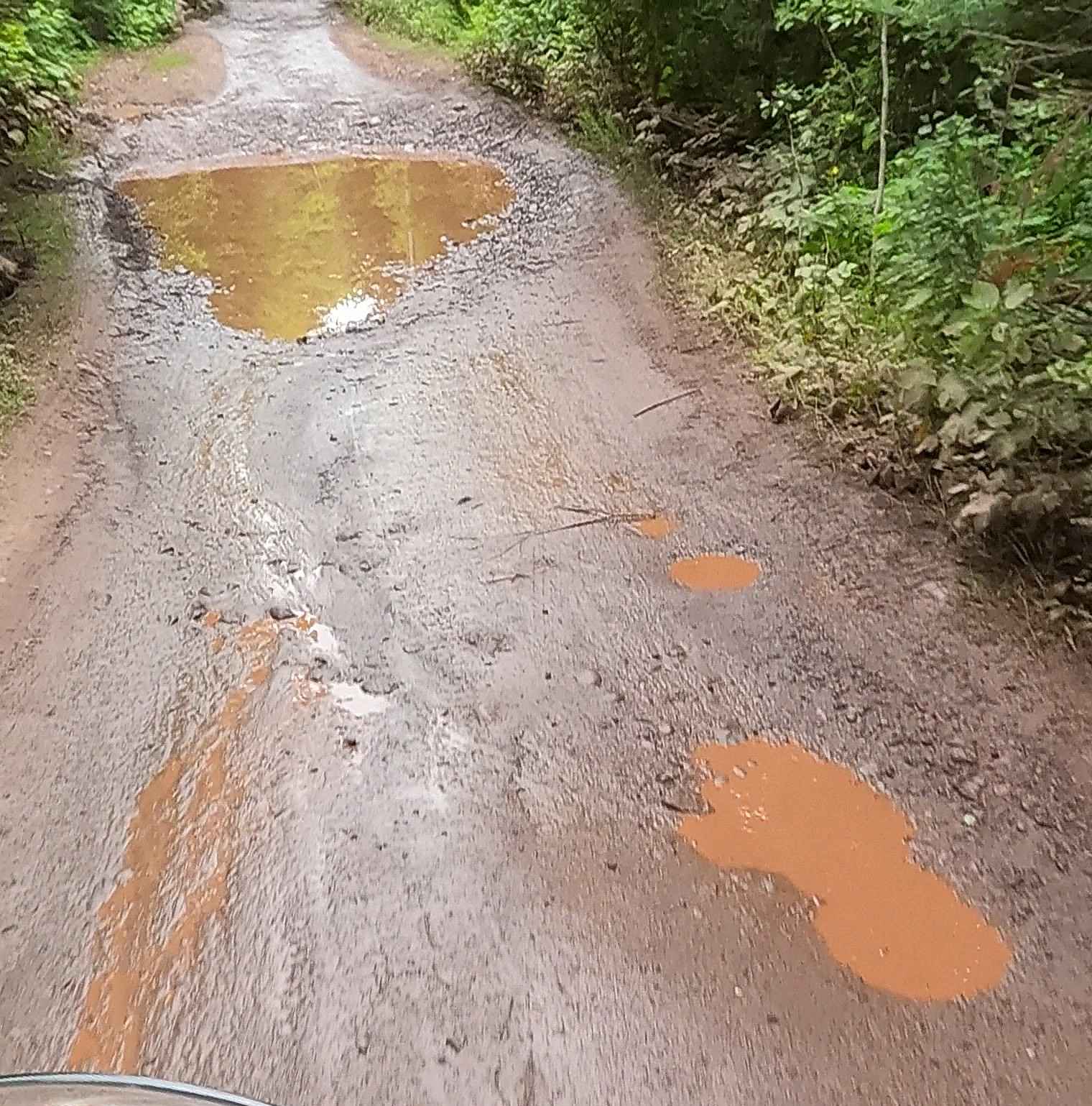 Schlatter Lake Trail