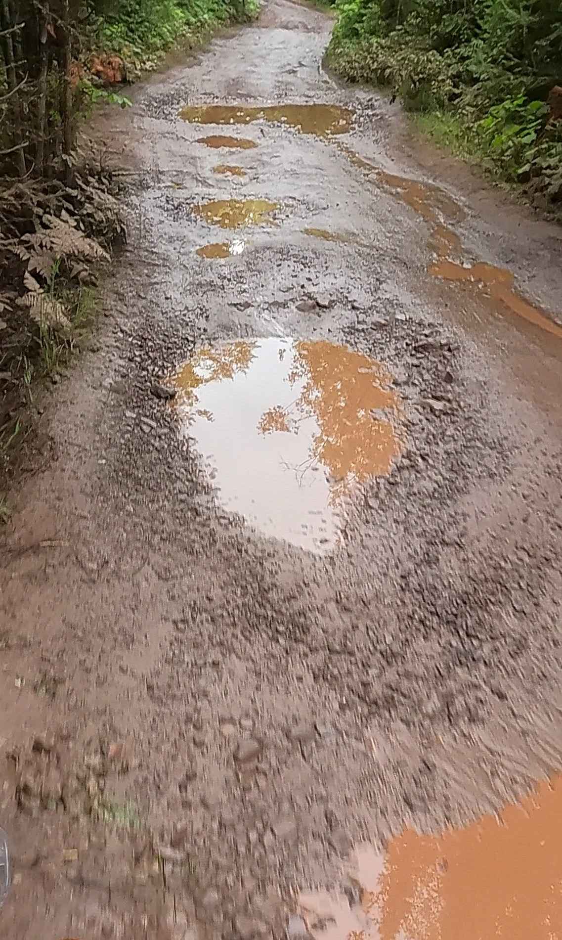 Schlatter Lake Trail