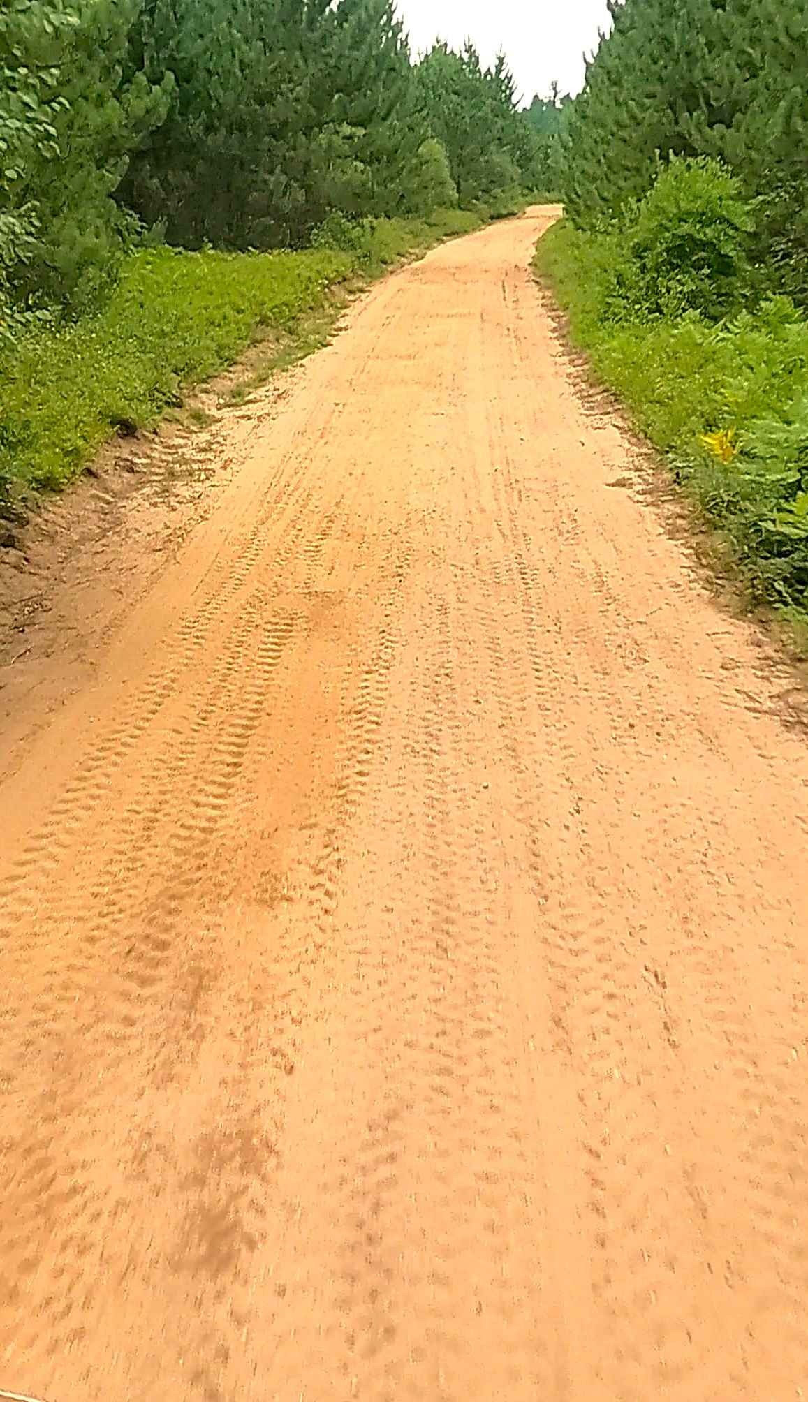 Section 32 Road North - FS T45N-R25W