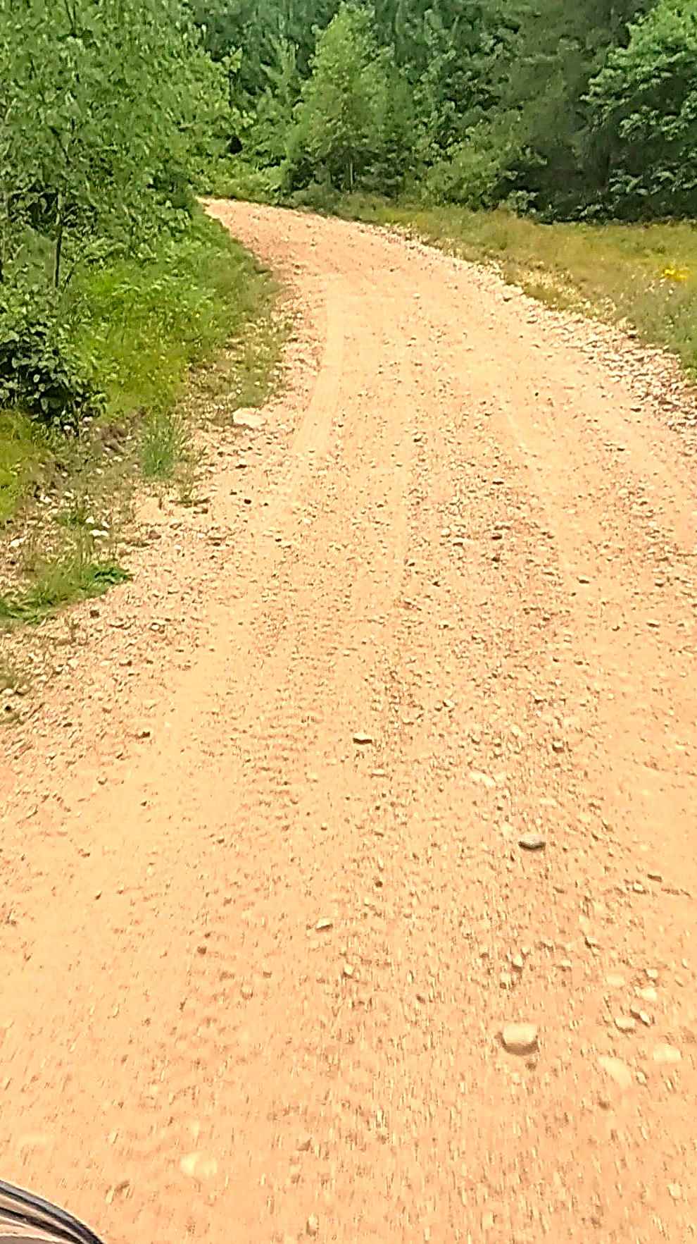 Section 32 Road North - FS T45N-R25W