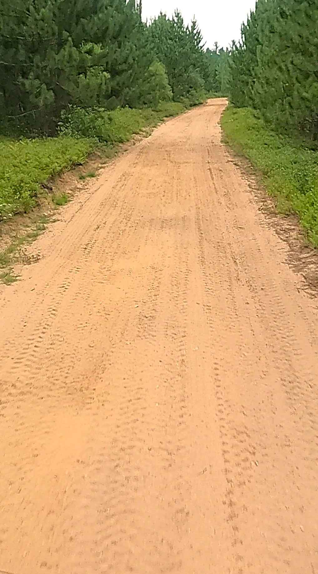 Section 32 Road South - FS T45N-R25W