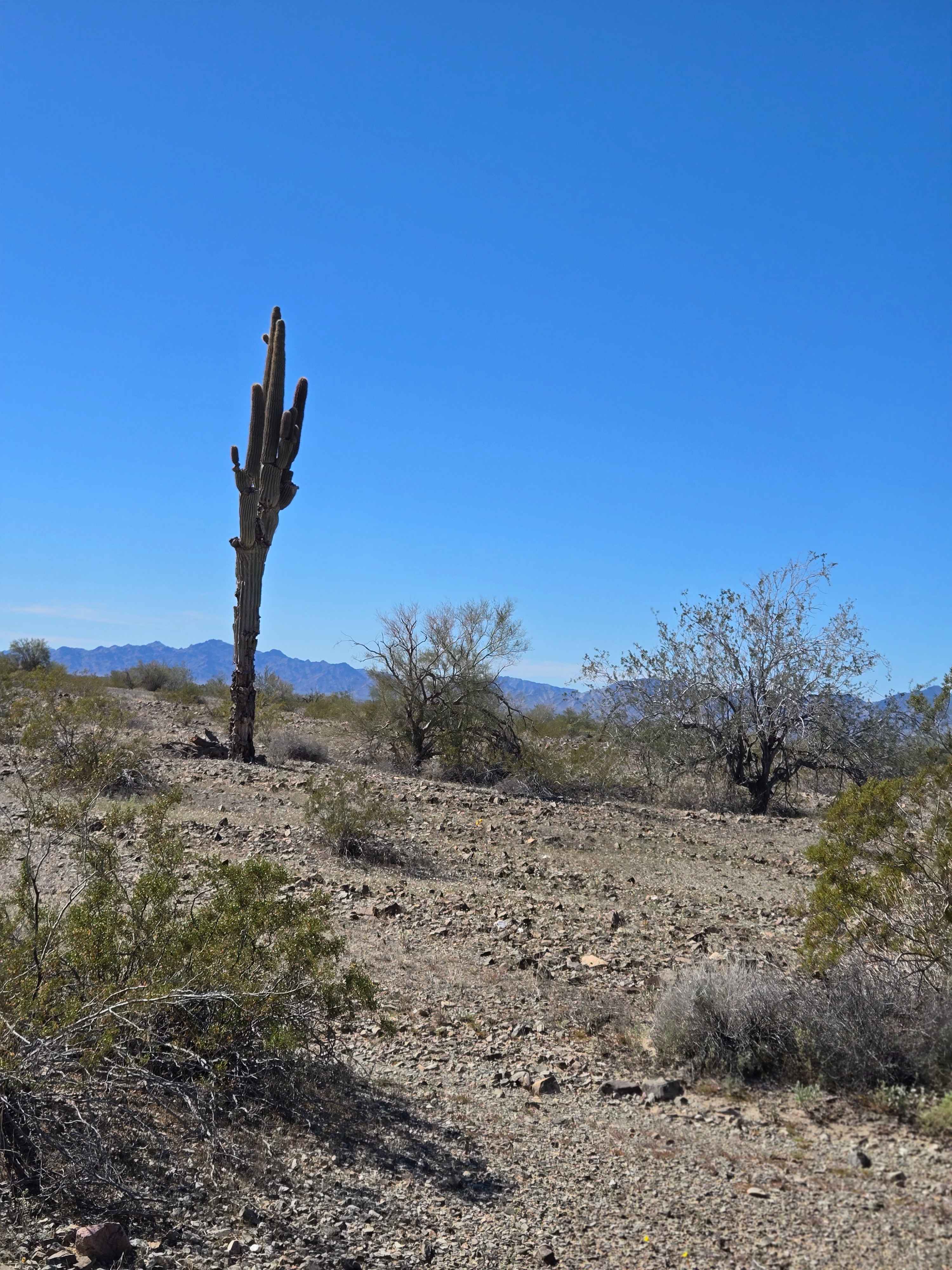 LP776 Connector Trail