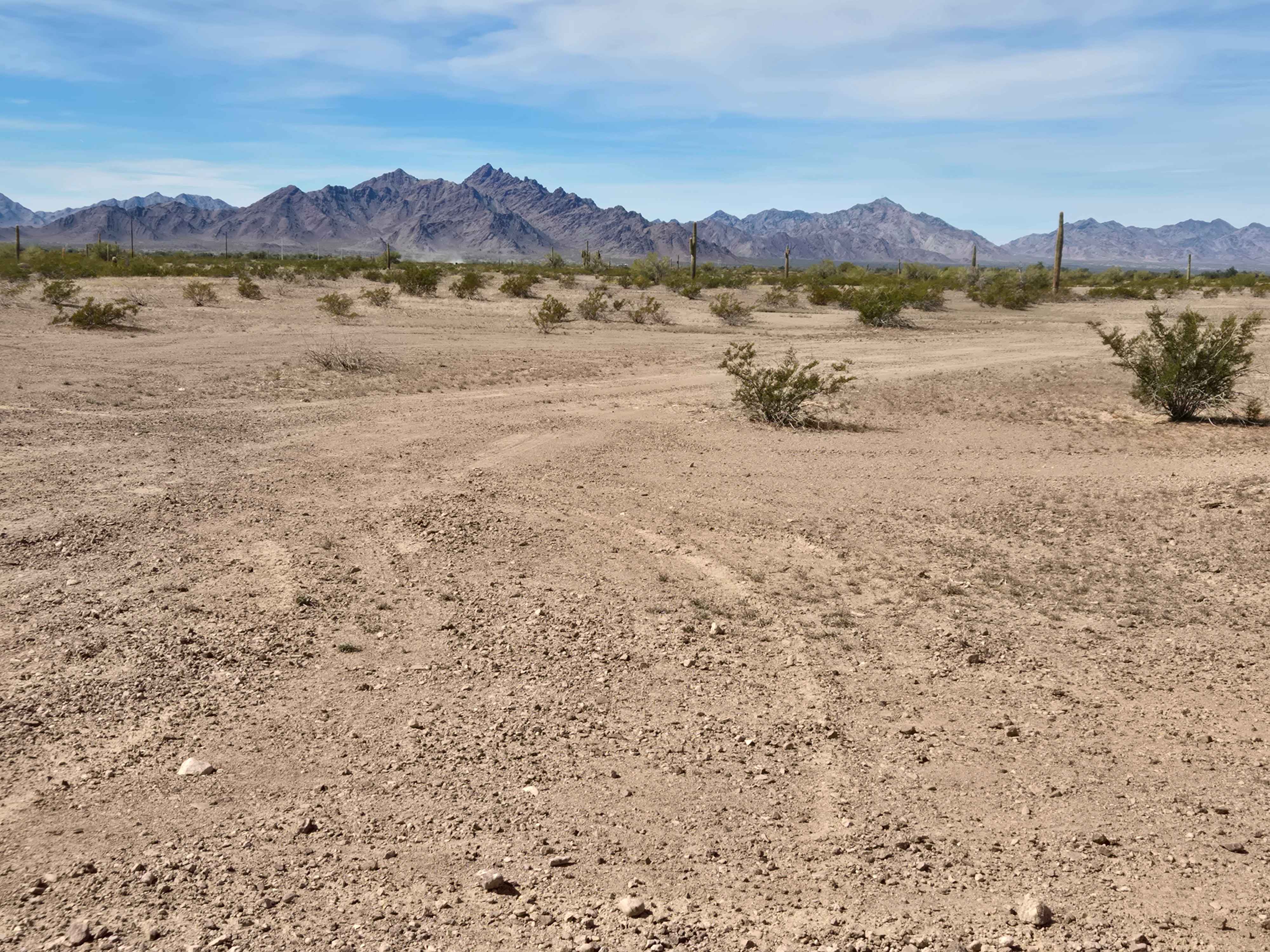 Pipeline Trail (LP220)