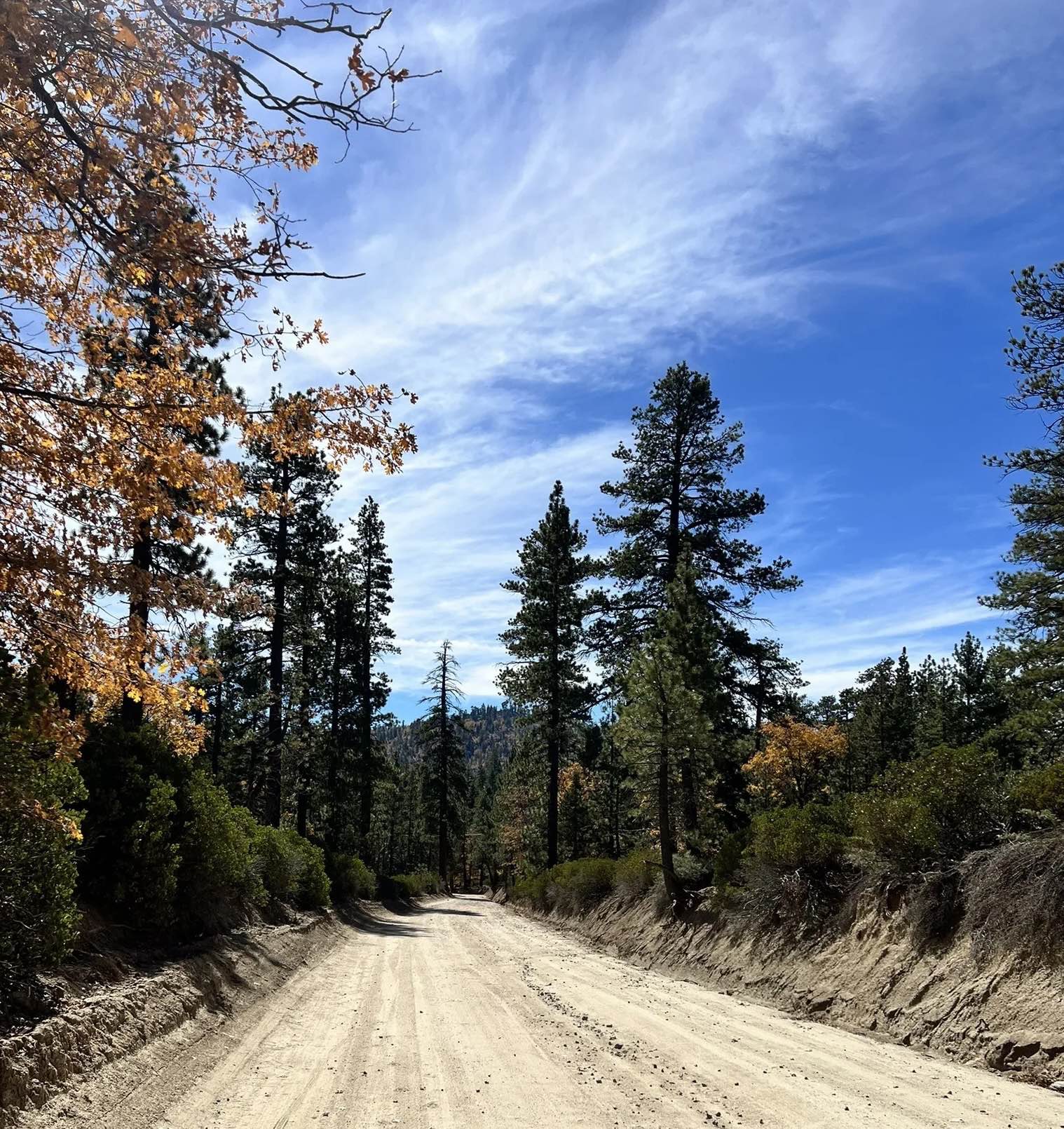 Coxey Road - FS 3N14