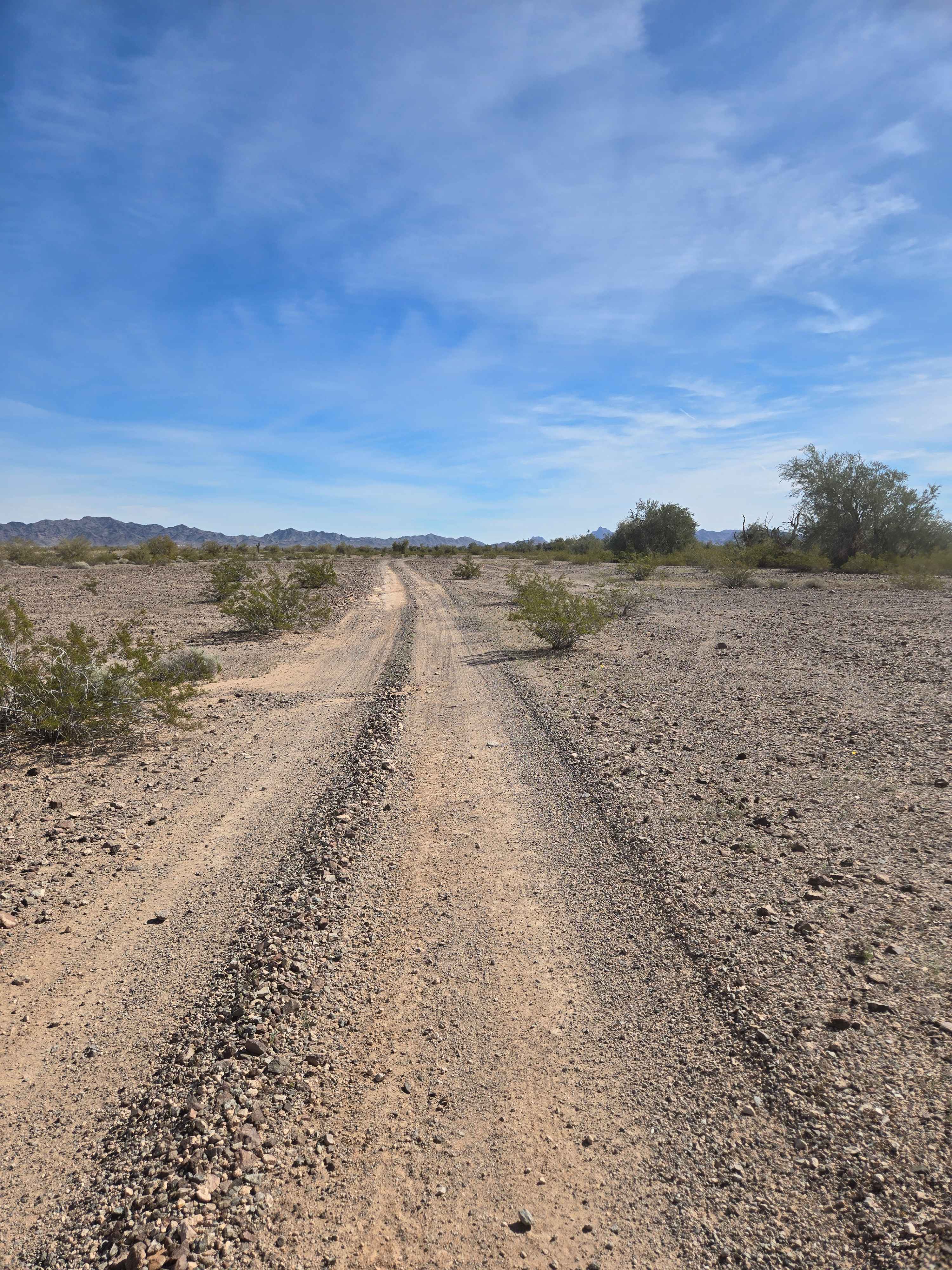 Across the Flats - BLM 0082