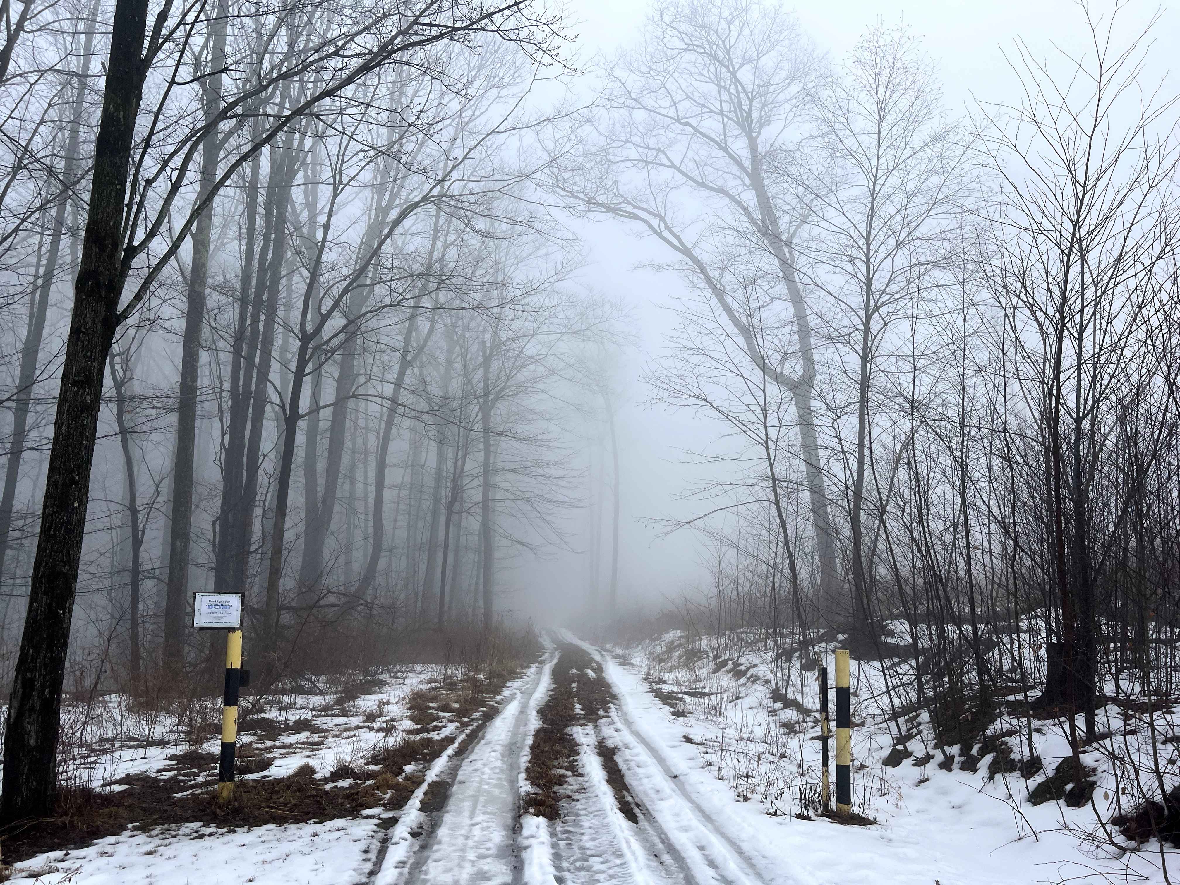 Left Straight Run Trail