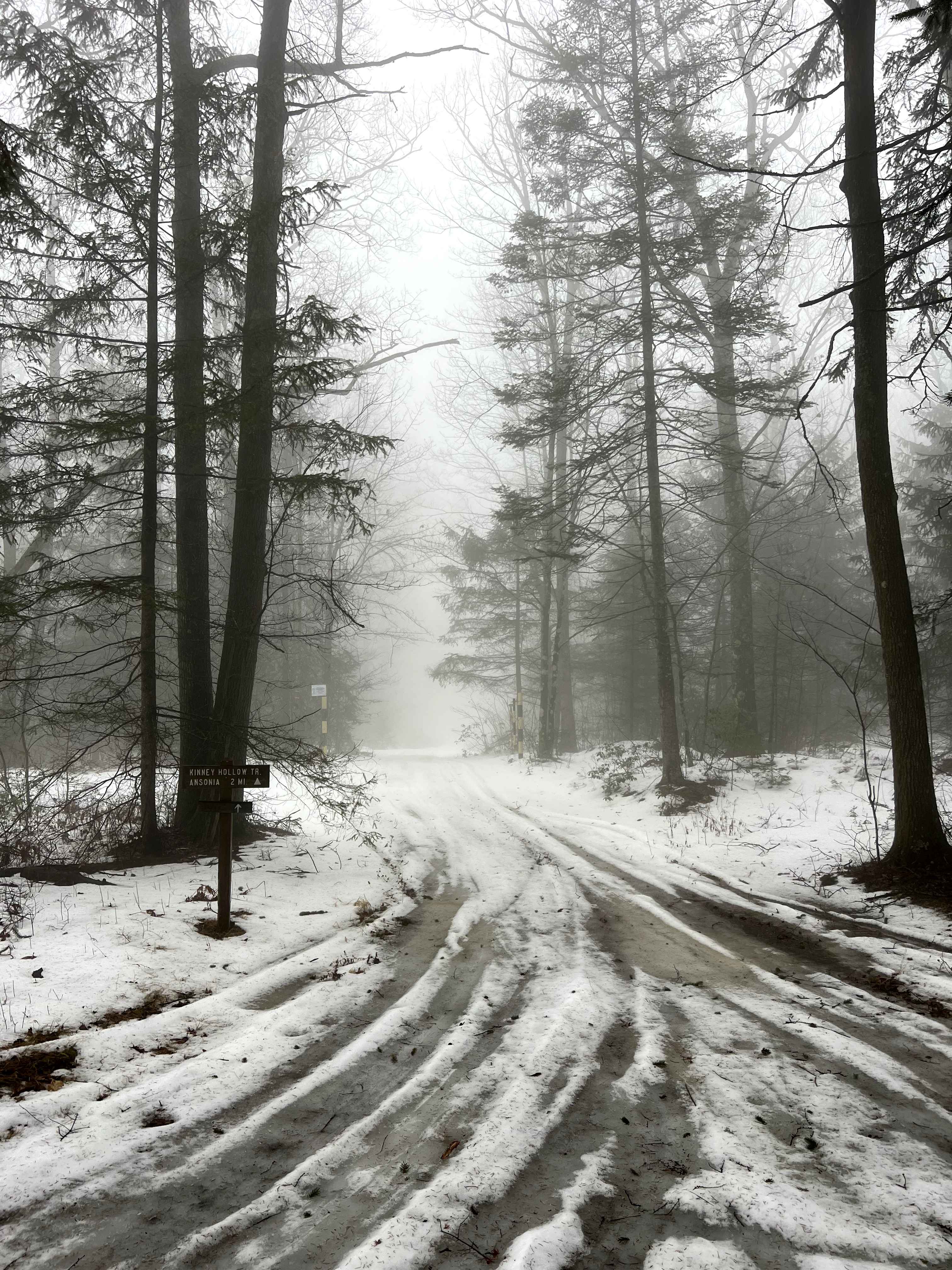 Kinney Hollow Trail